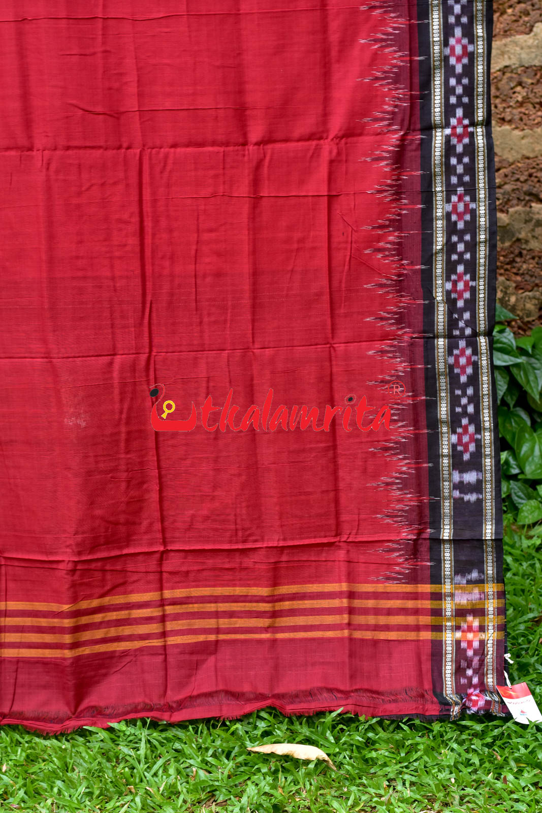 Vigour of Singhabahini