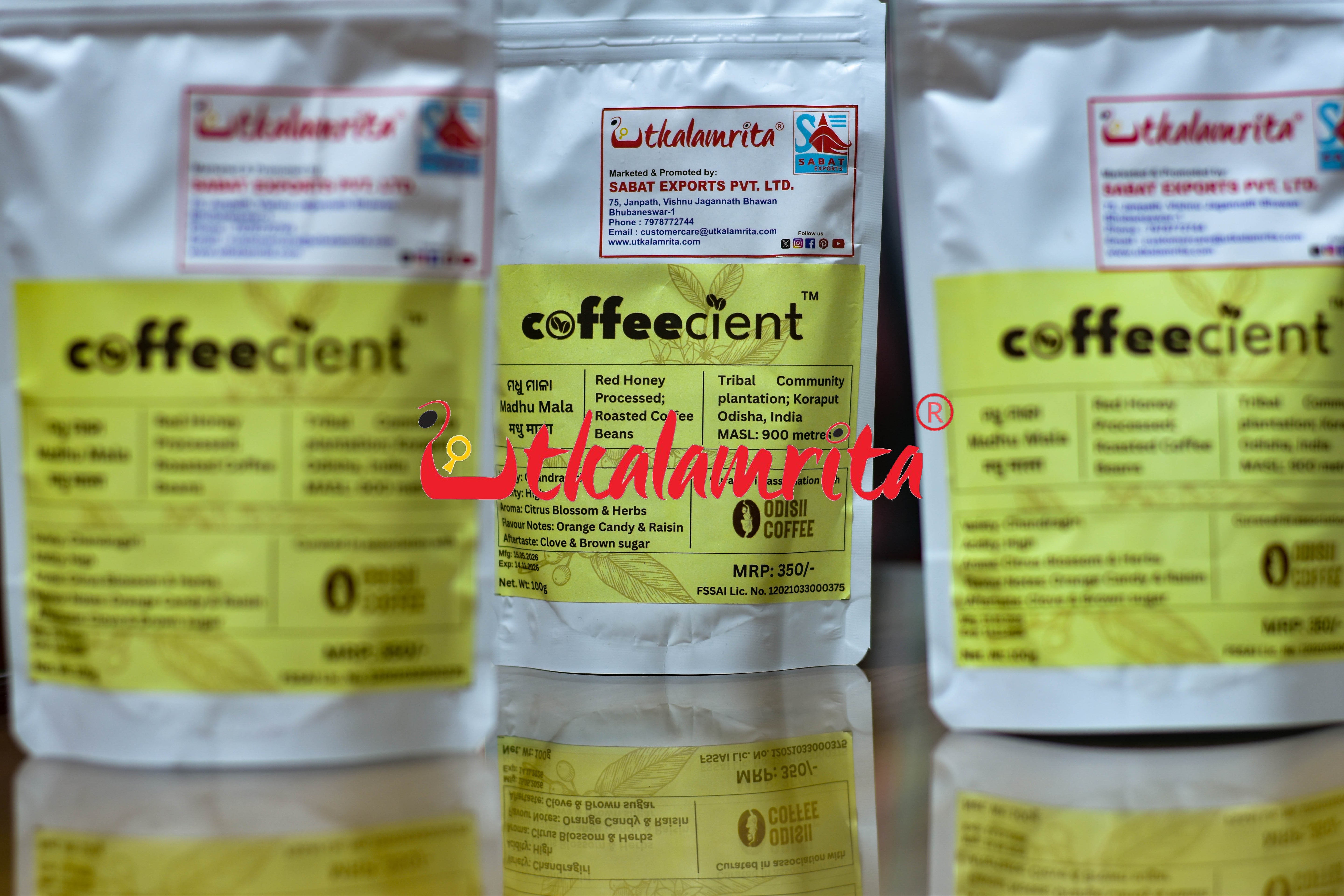 Koraput Coffee Powder-100G.M