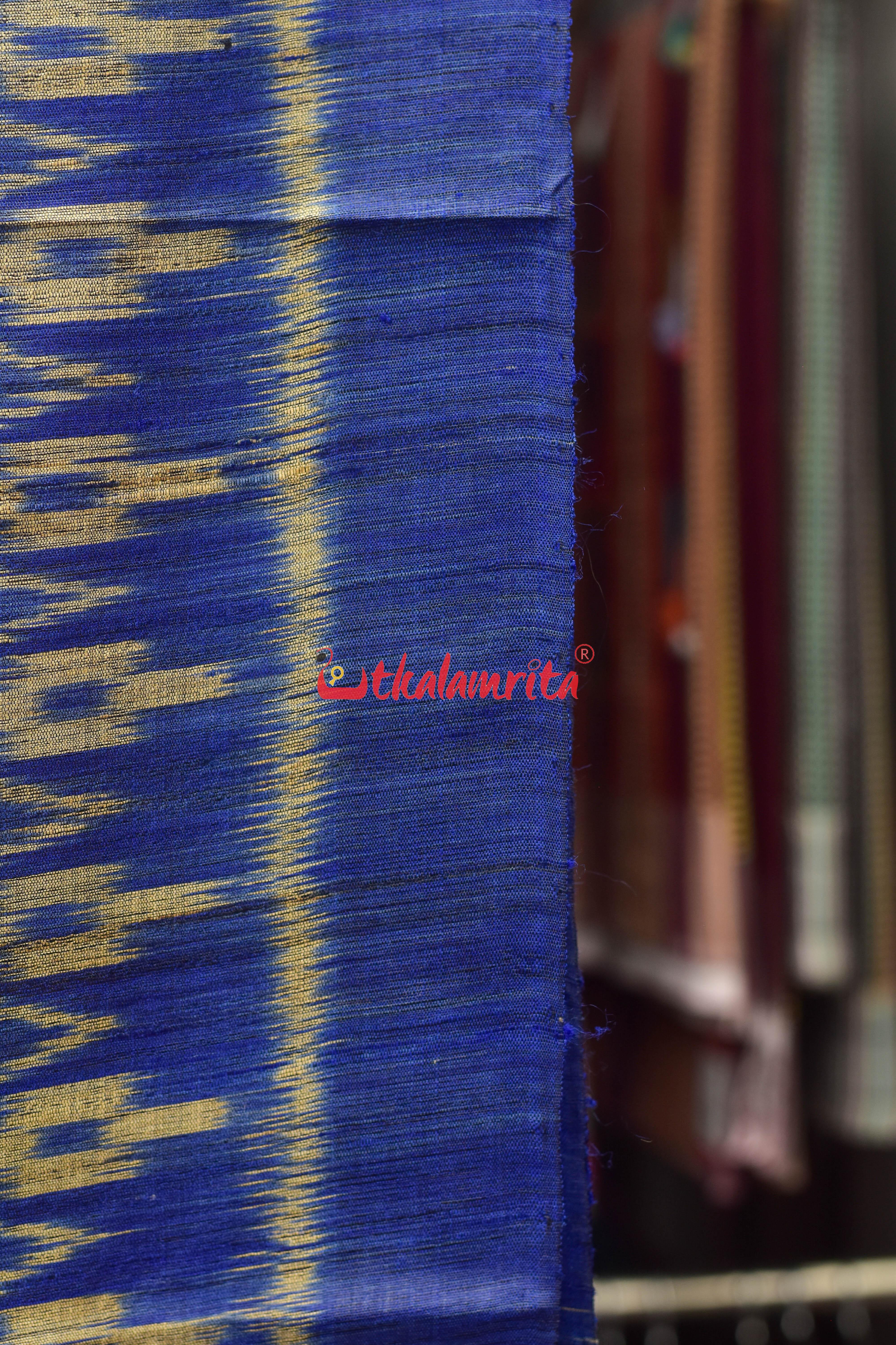 Blue Body Ikat Tussar Saree