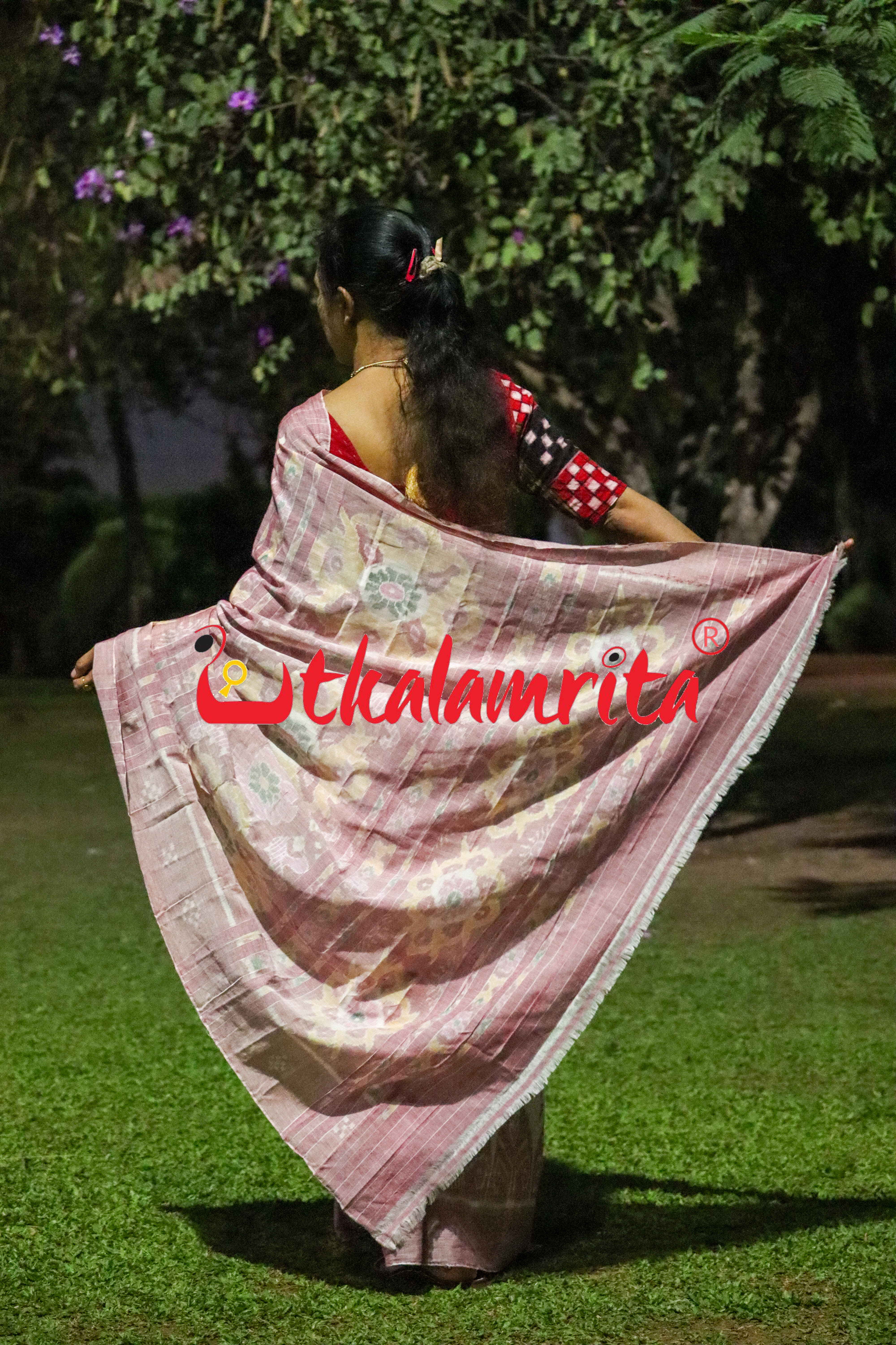 White Pink Dhanpatri Khandua Cotton Saree