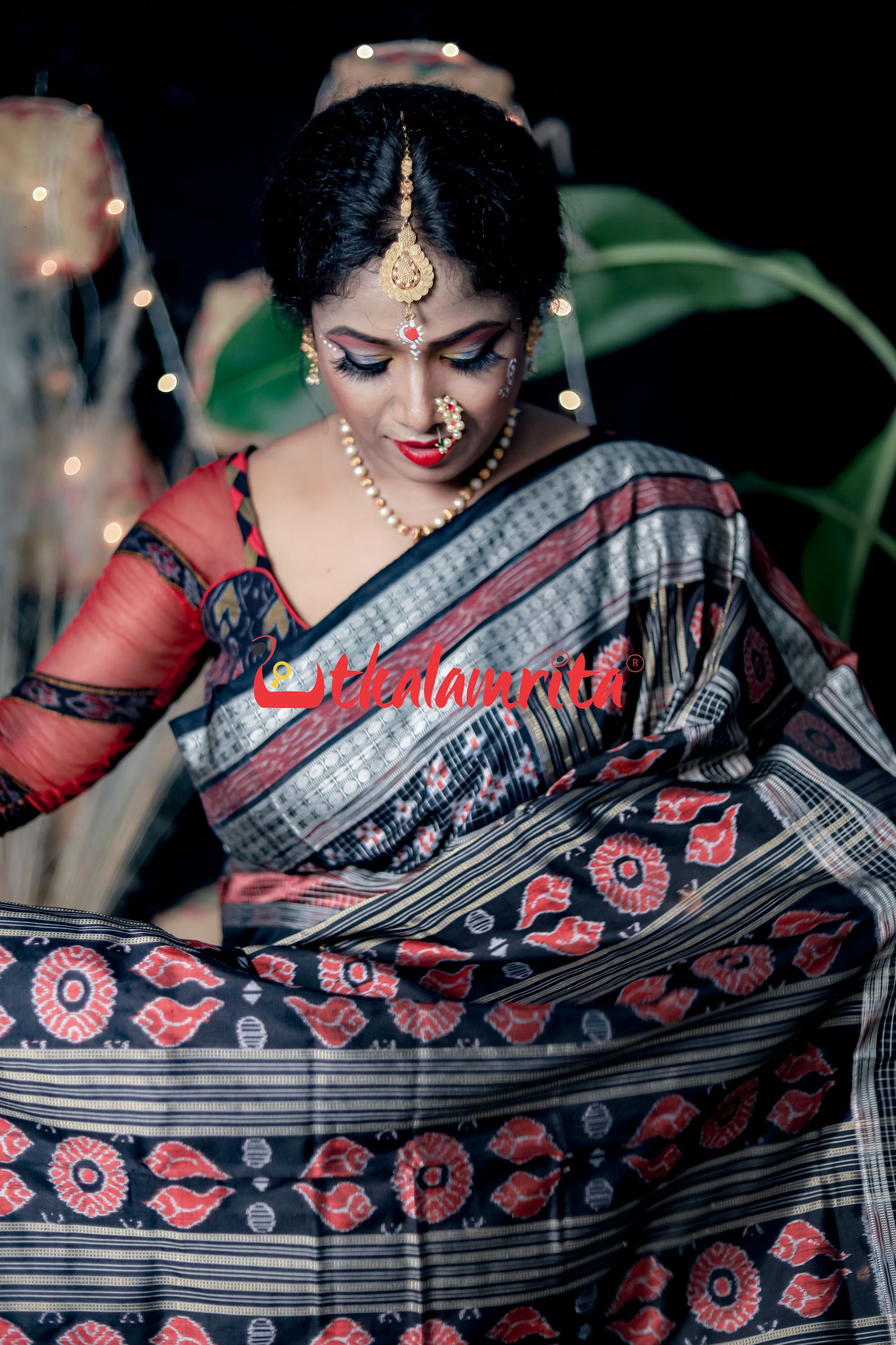 Black Pasapali Border Bichitra Sambalpuri Silk