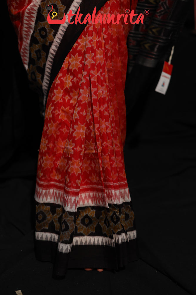 3D Border Red Phula Sambalpuri Cotton Saree