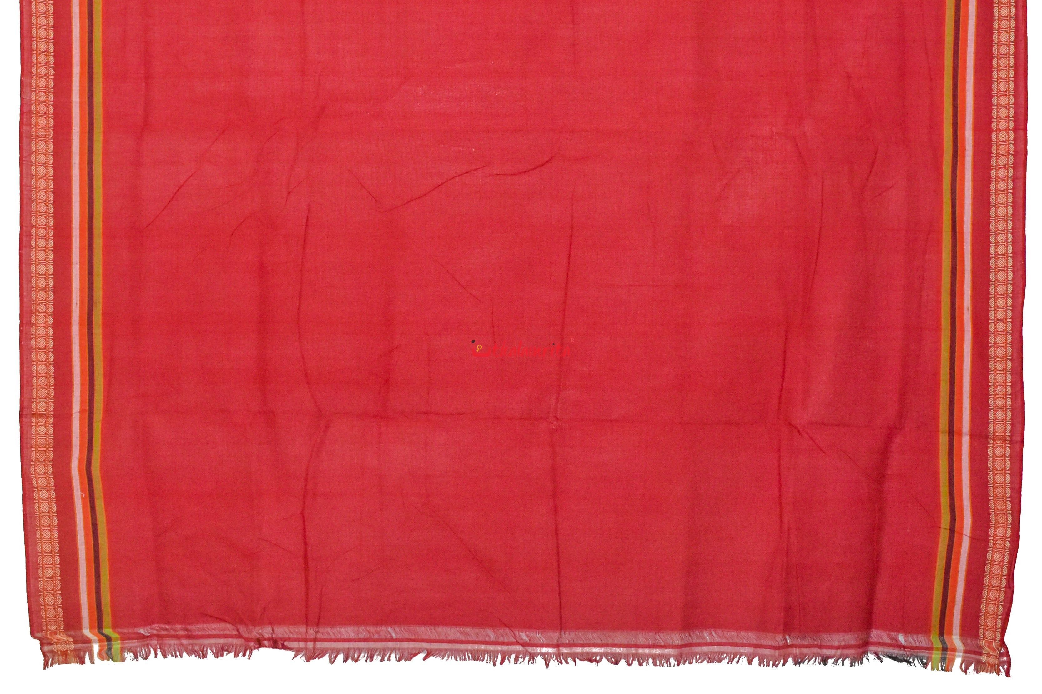 Forest Koala Bomkai Cotton Saree