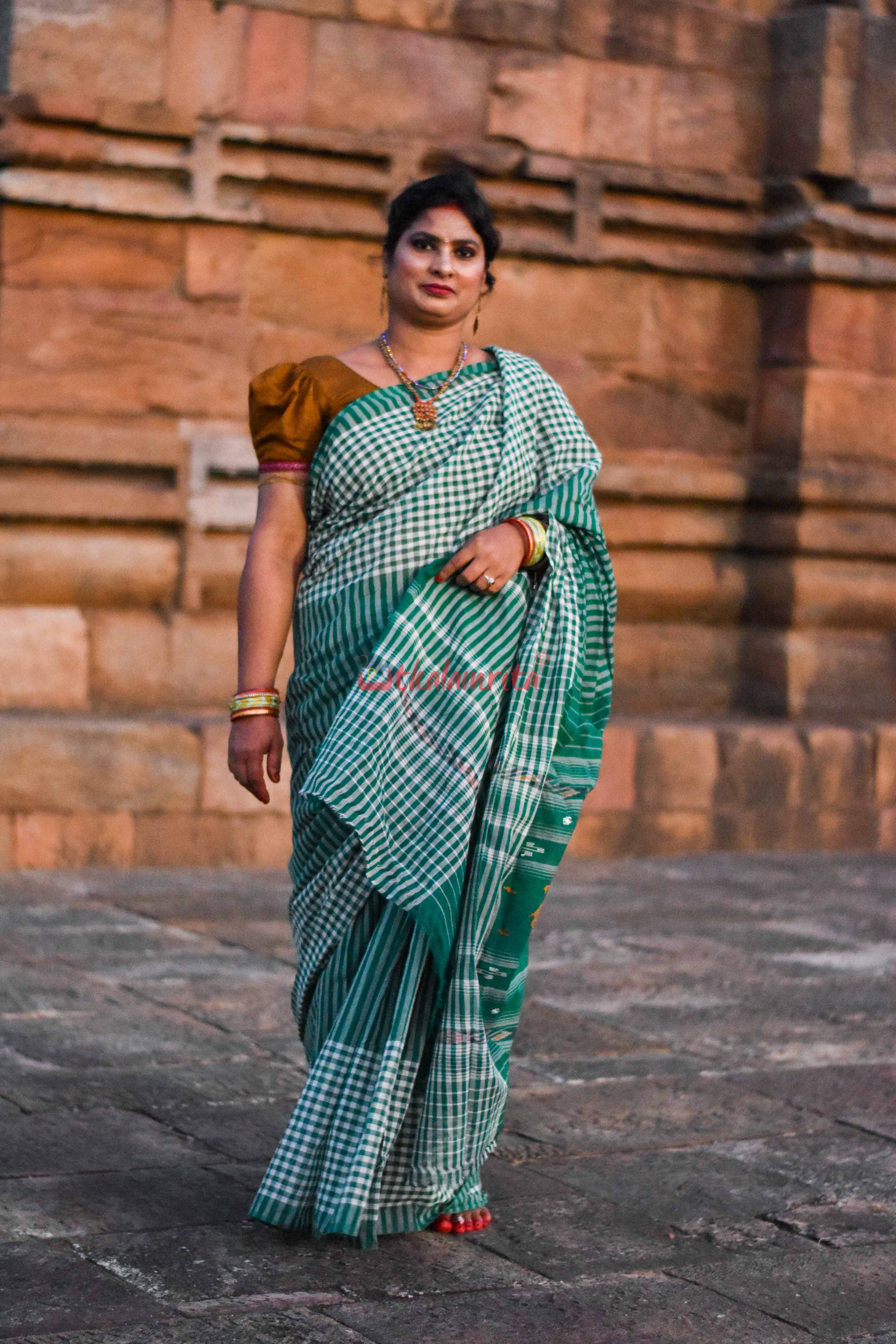 Eco-Friendly Check Check Saree