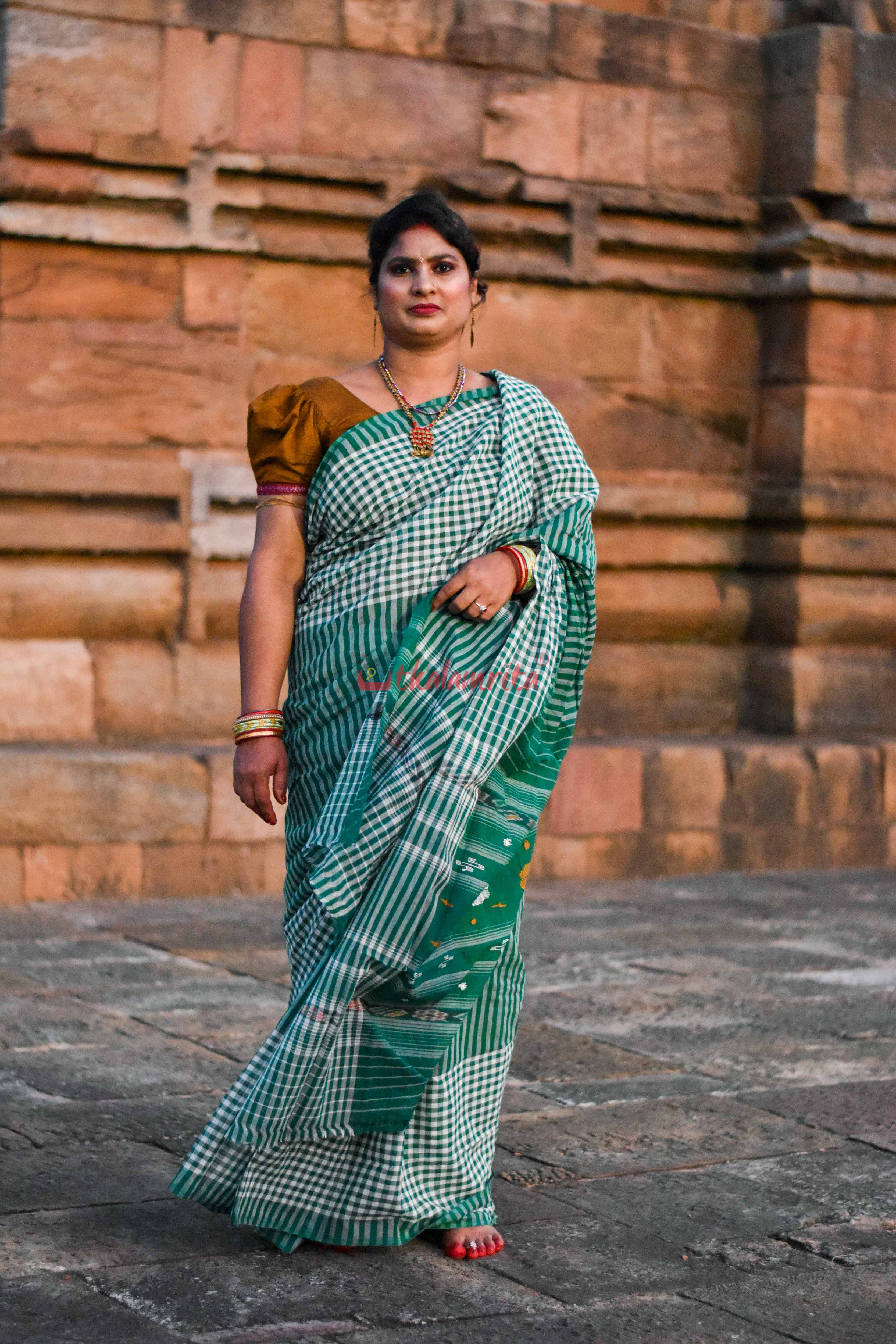 Eco-Friendly Check Check Saree