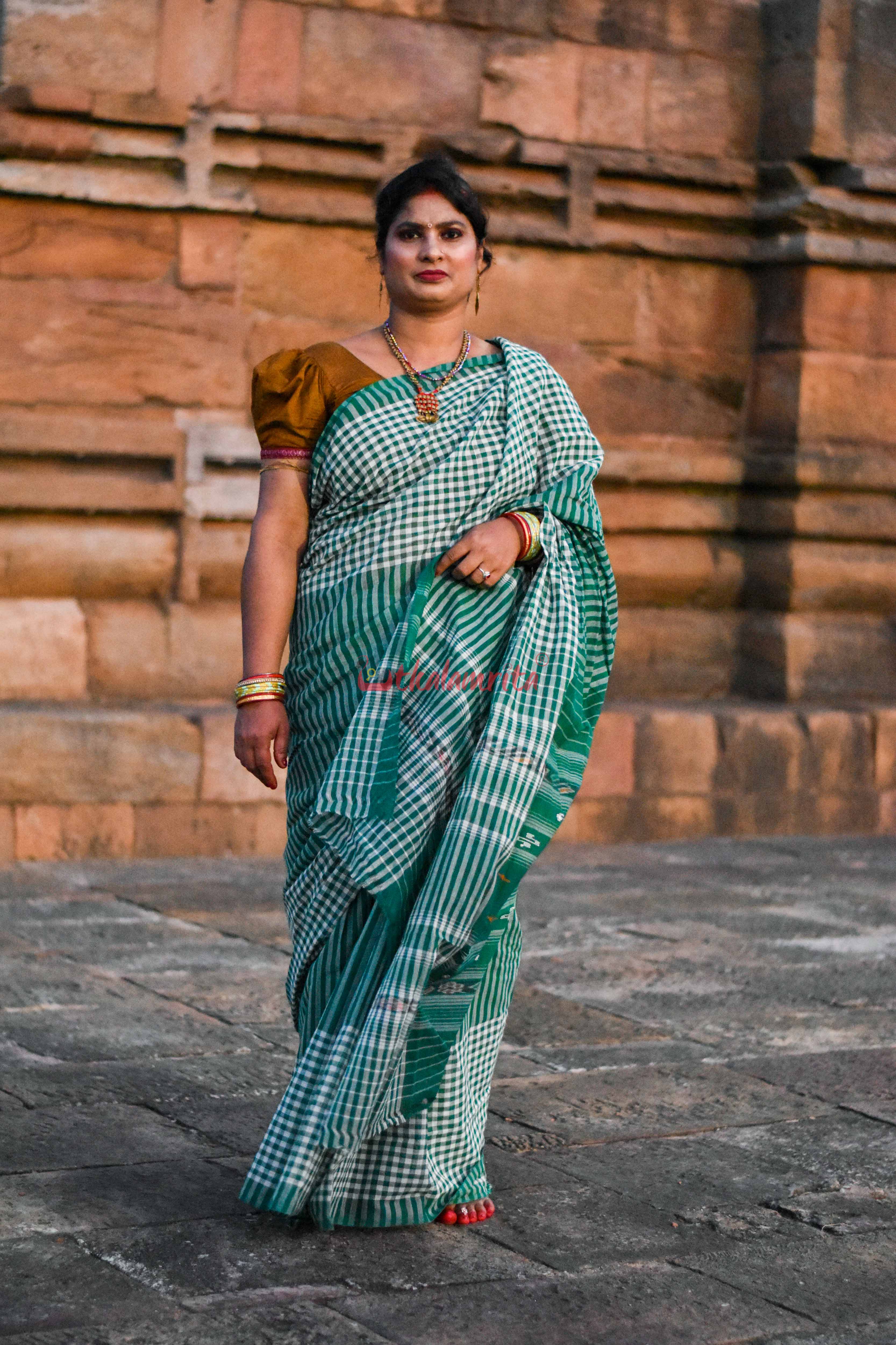 Eco-Friendly Check Check Saree