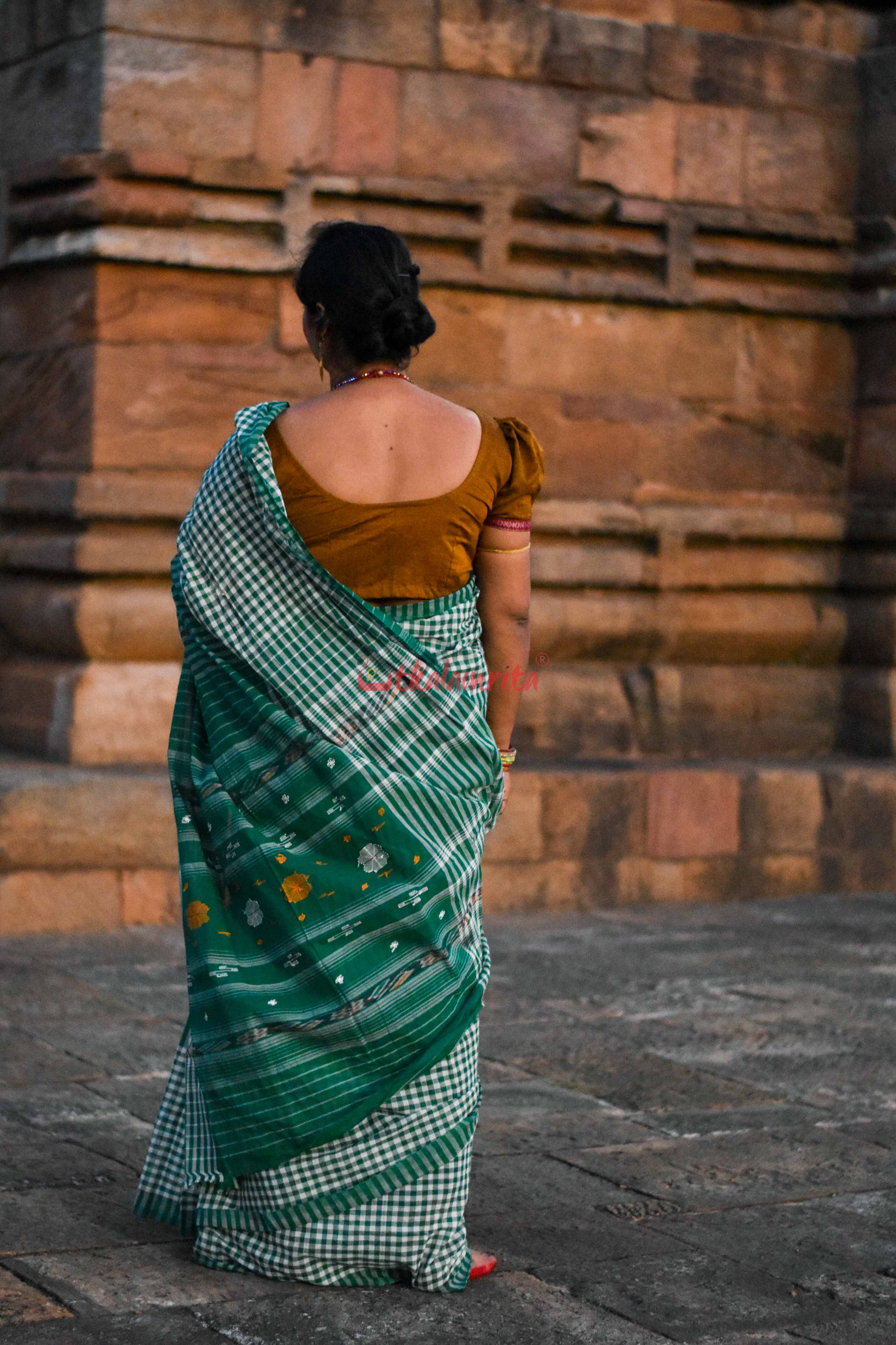 Eco-Friendly Check Check Saree