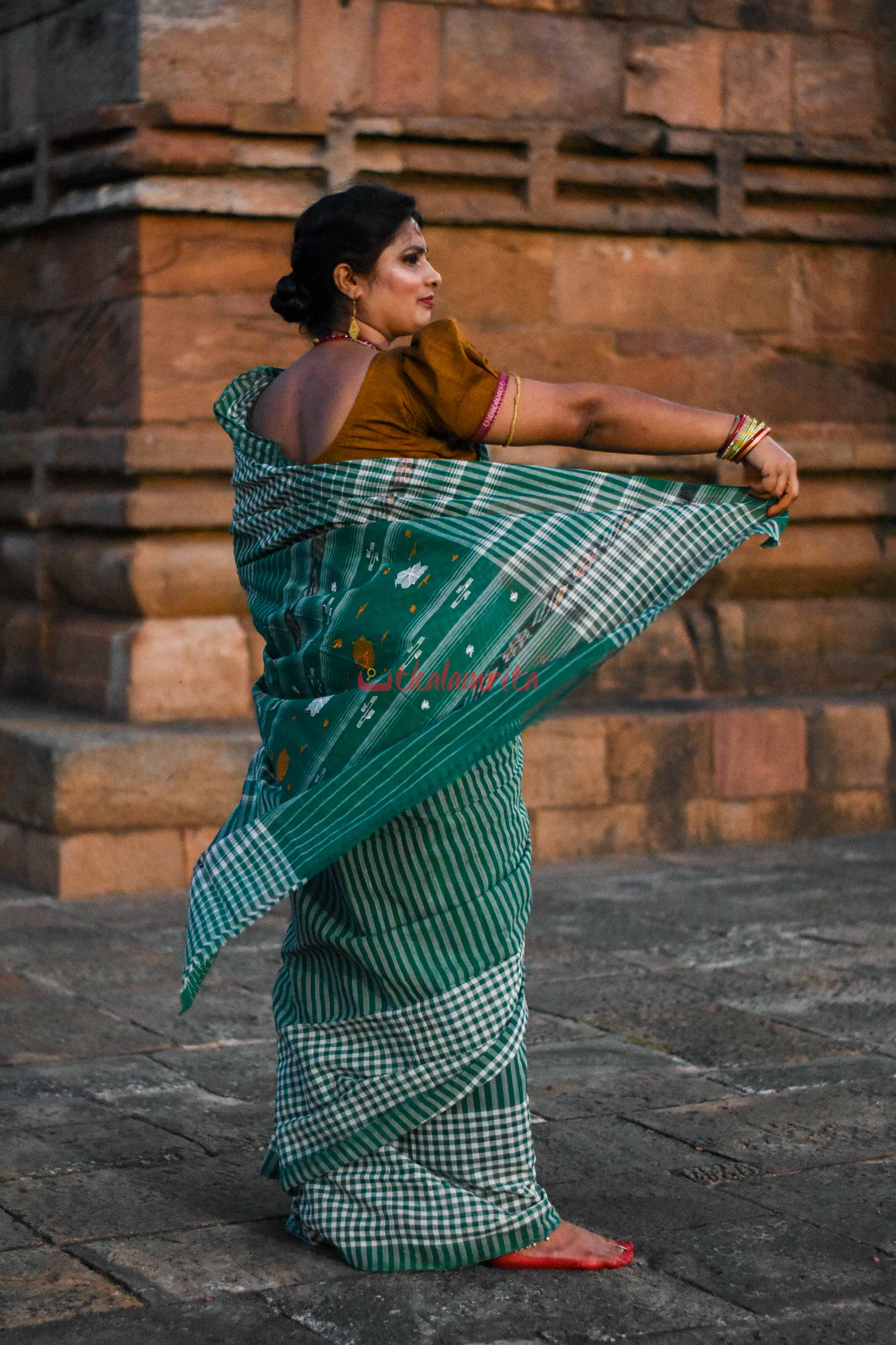 Eco-Friendly Check Check Saree