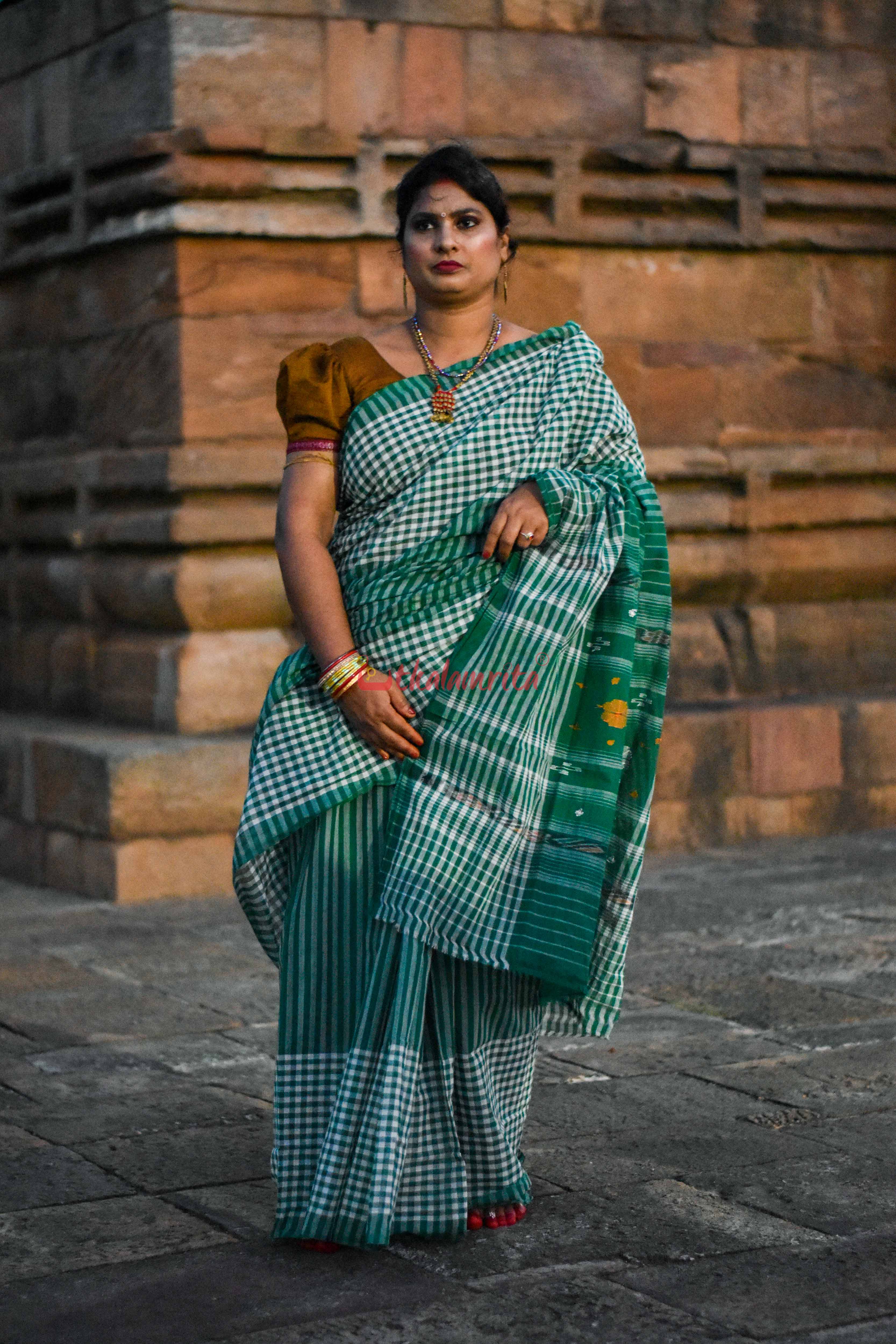 Eco-Friendly Check Check Saree