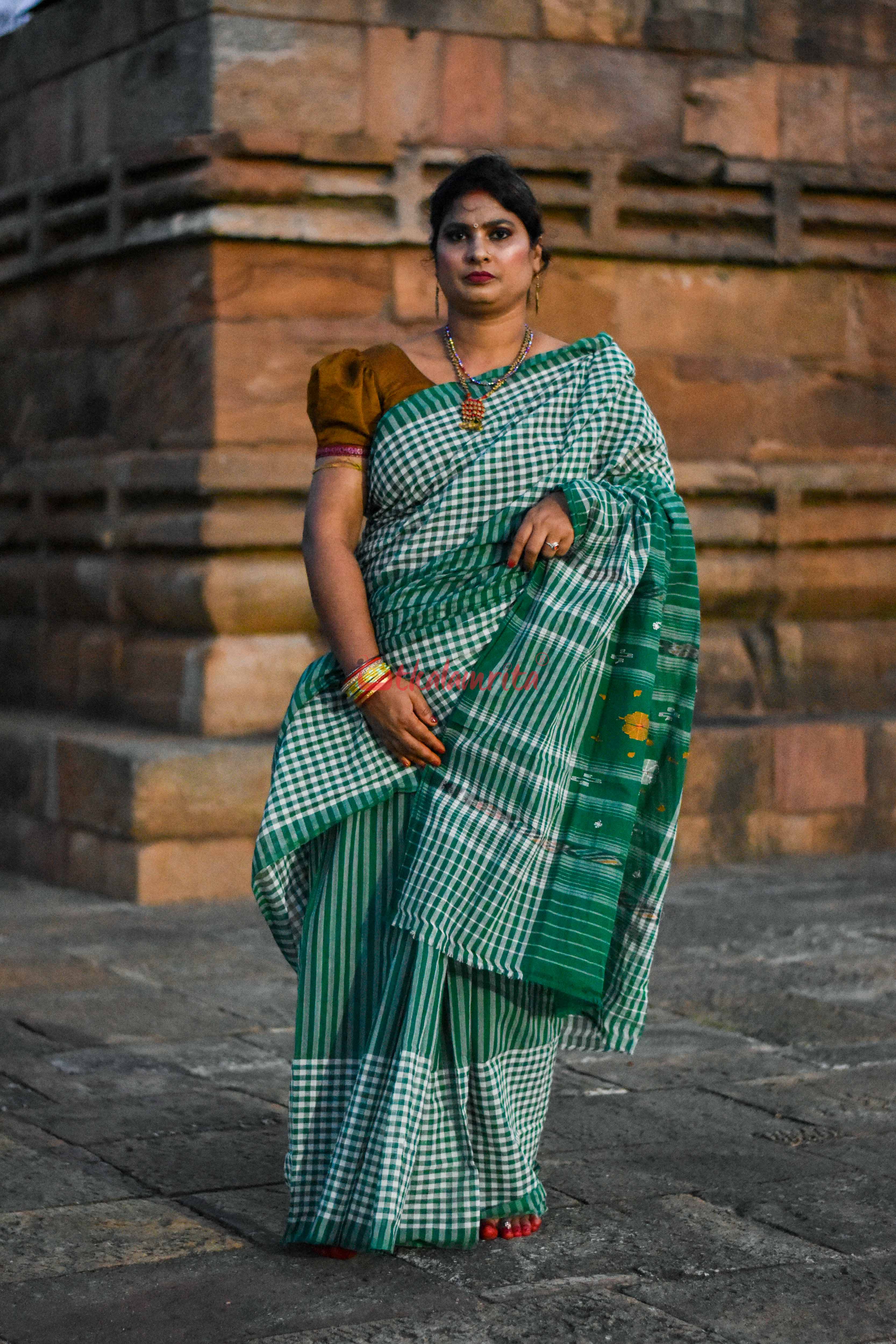 Eco-Friendly Check Check Saree