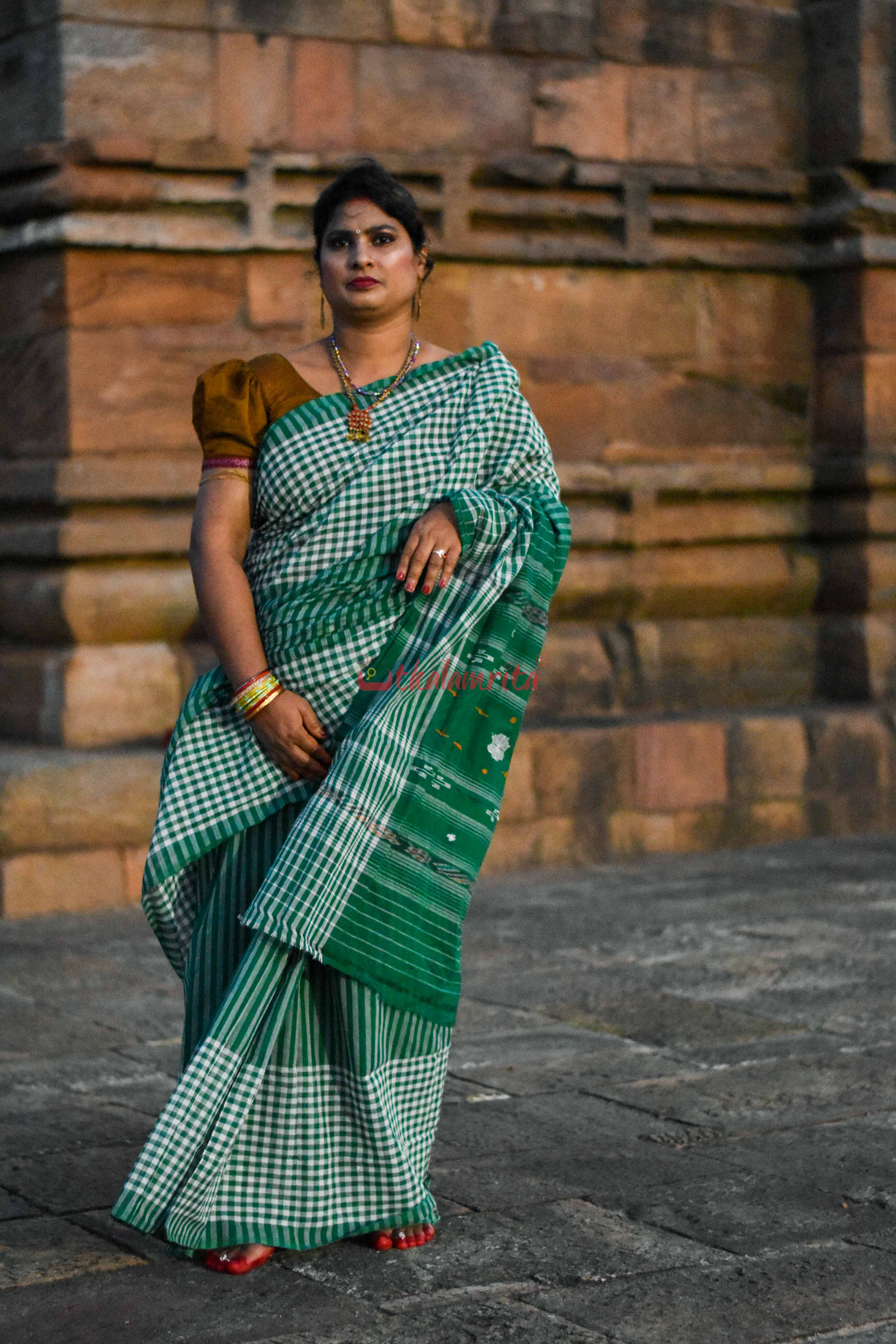 Eco-Friendly Check Check Saree
