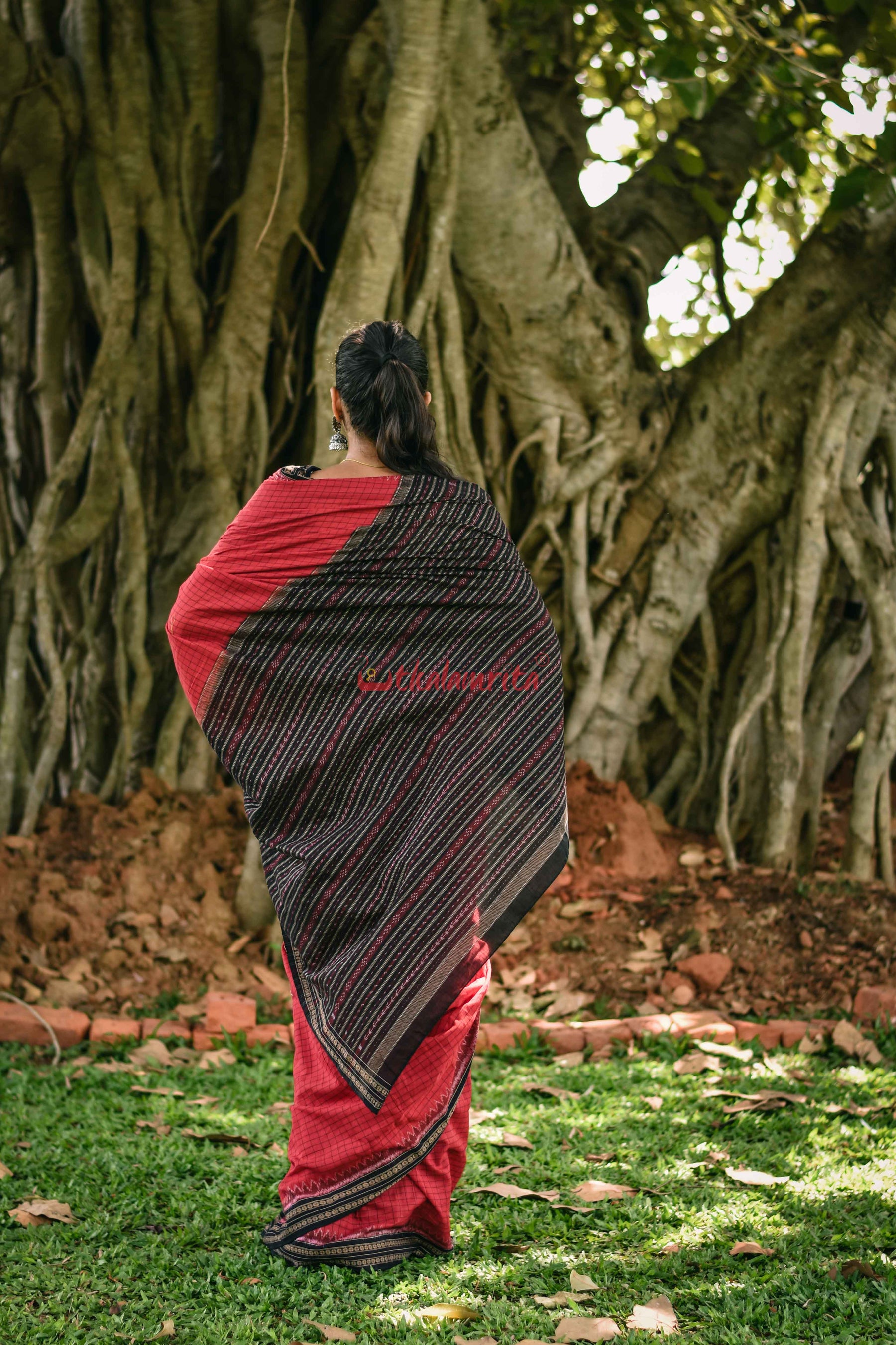 Red Nuapatna Sachipar