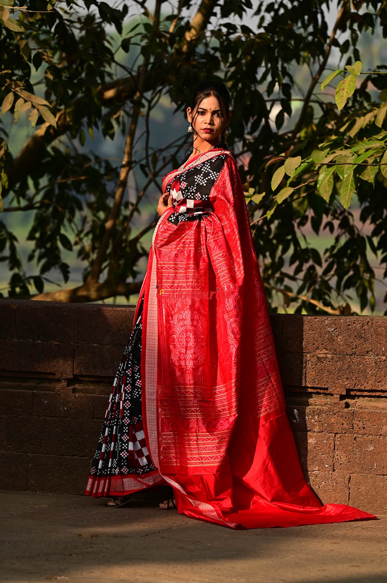 Black Red Pasapali Sambalpuri Silk Saree