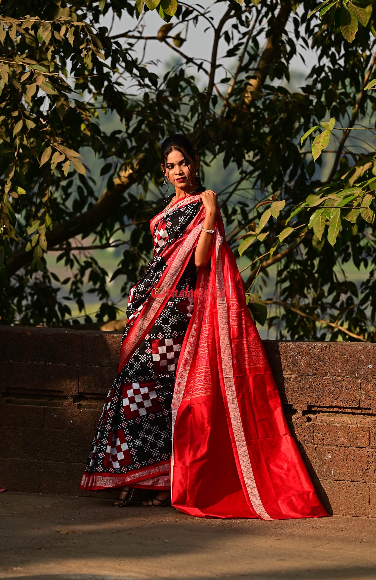 Black Red Pasapali Sambalpuri Silk Saree