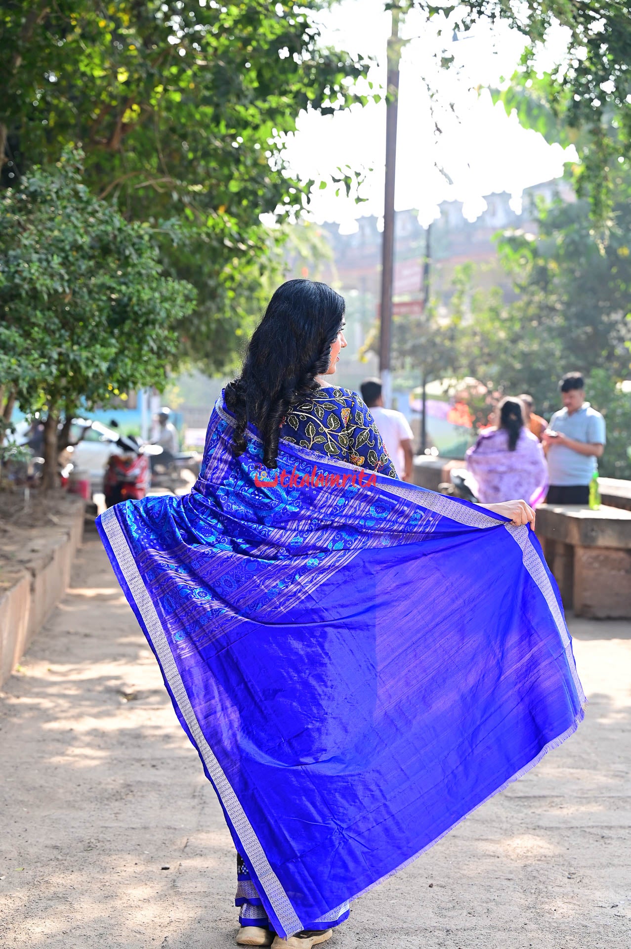 Blue Big Small Pasapali Sambalpuri Silk Saree