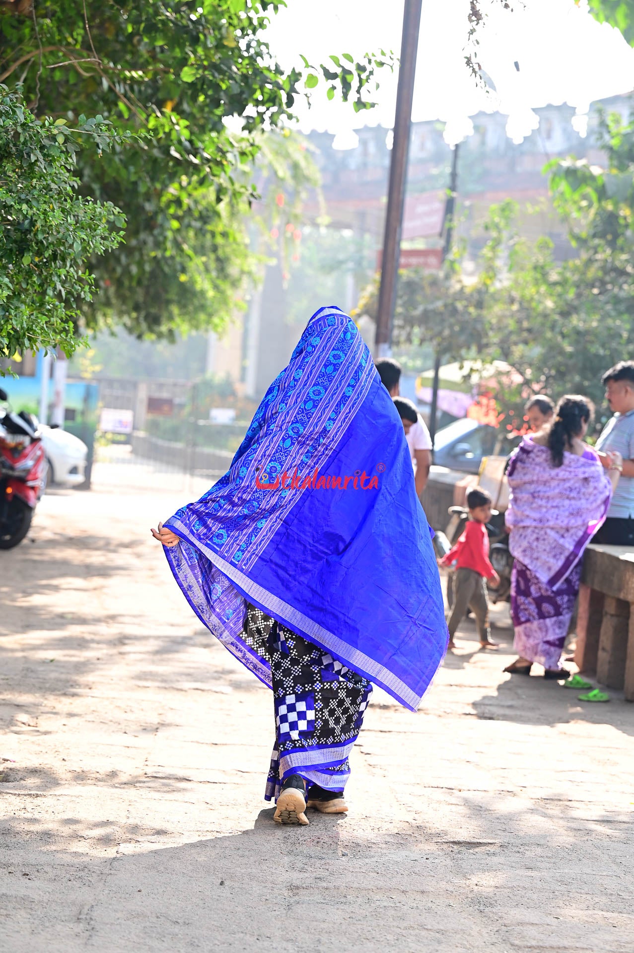 Blue Big Small Pasapali Sambalpuri Silk Saree