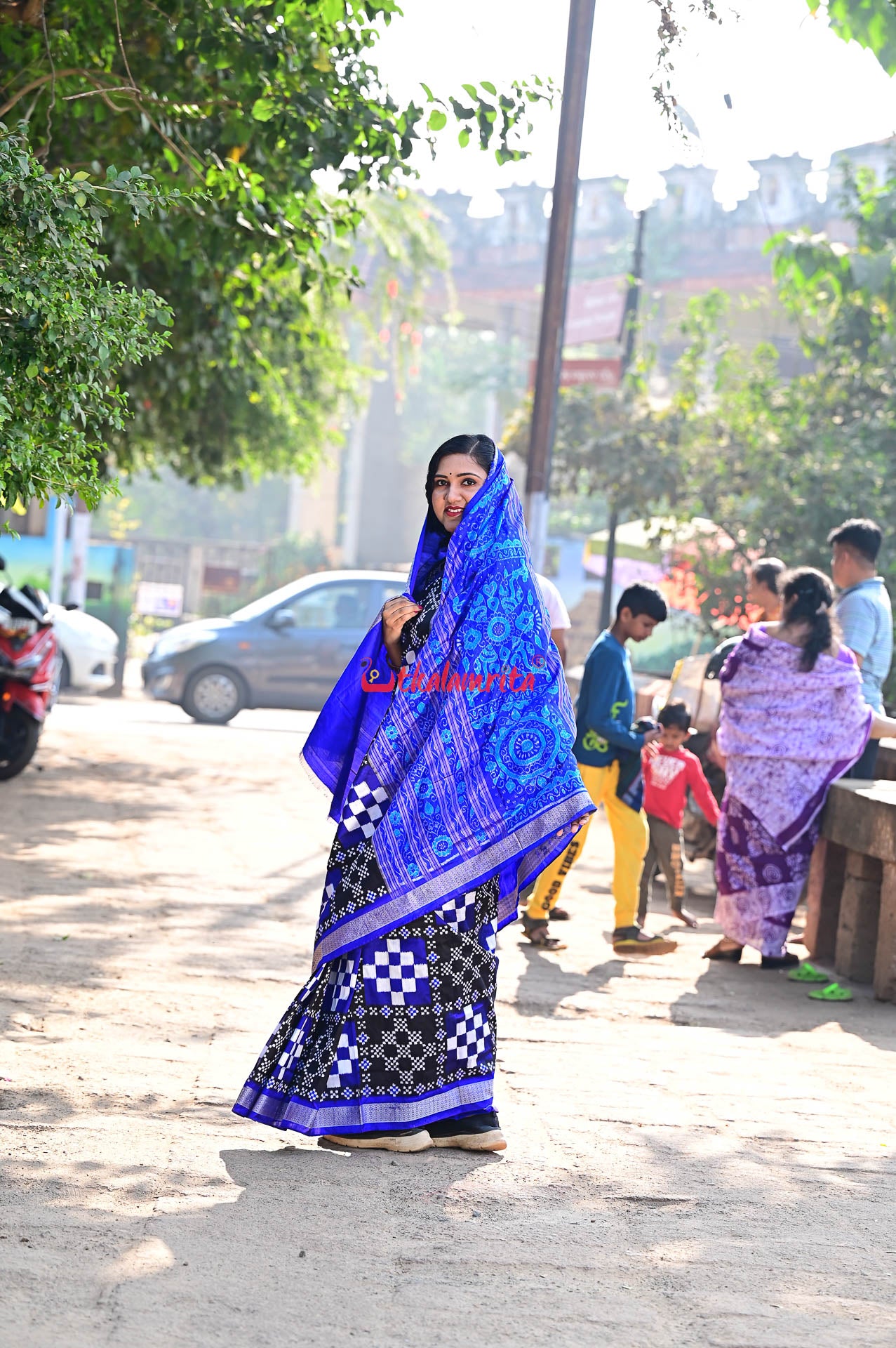 Blue Big Small Pasapali Sambalpuri Silk Saree