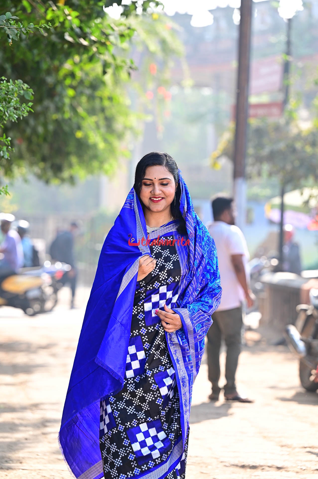 Blue Big Small Pasapali Sambalpuri Silk Saree