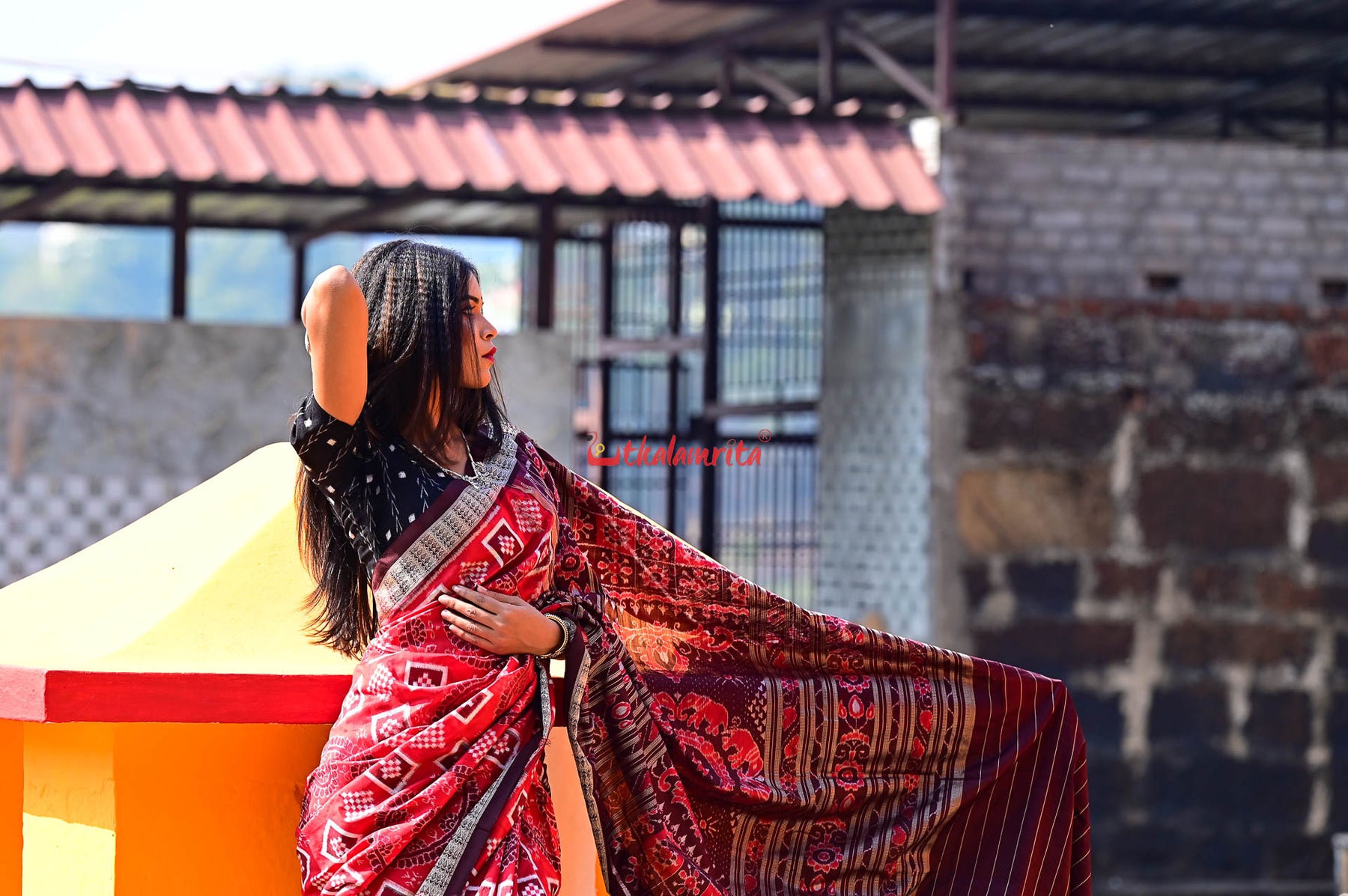 Red Coffee Chakra Pasapali Sambalpuri Silk Saree