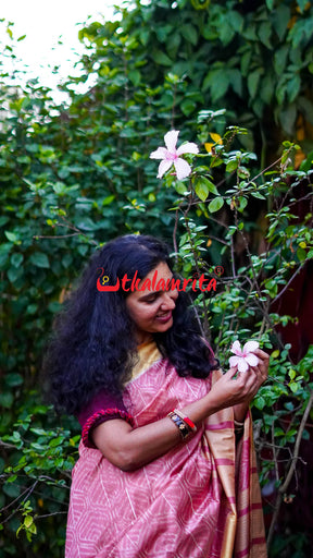 Natural Dye Pink Leaves Honey Border Khandua Silk Saree