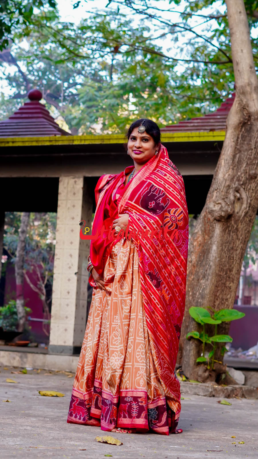 8 Motifs Brown Khandua Silk Saree