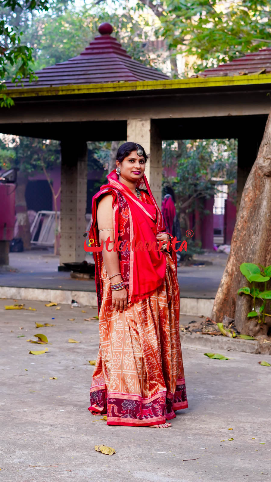 8 Motifs Brown Khandua Silk Saree