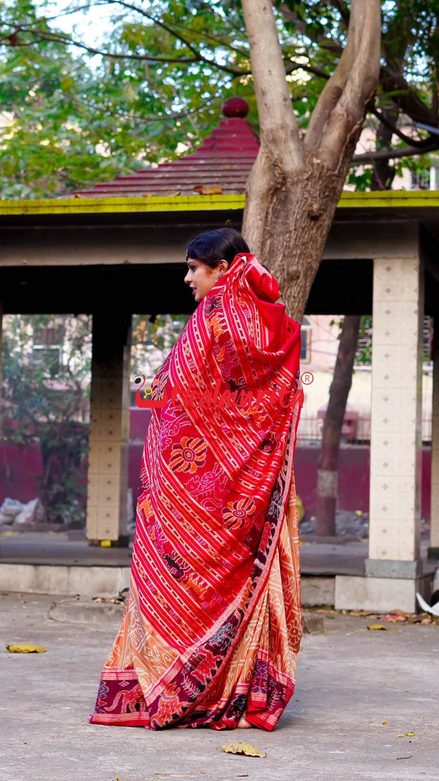 8 Motifs Brown Khandua Silk Saree