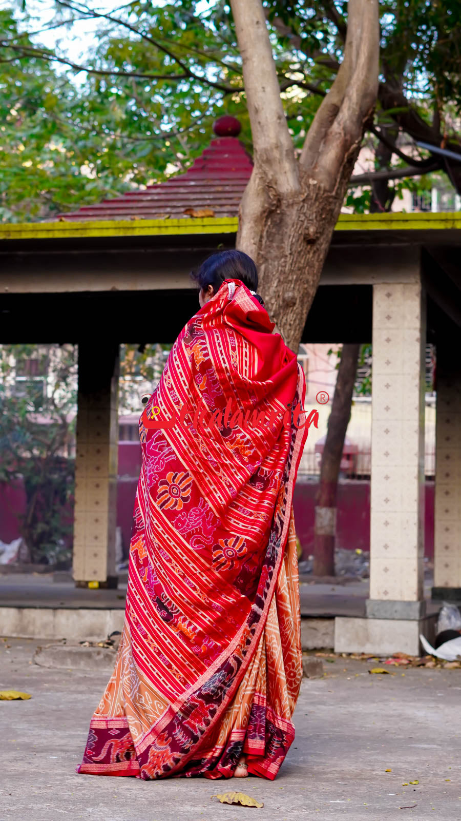 8 Motifs Brown Khandua Silk Saree