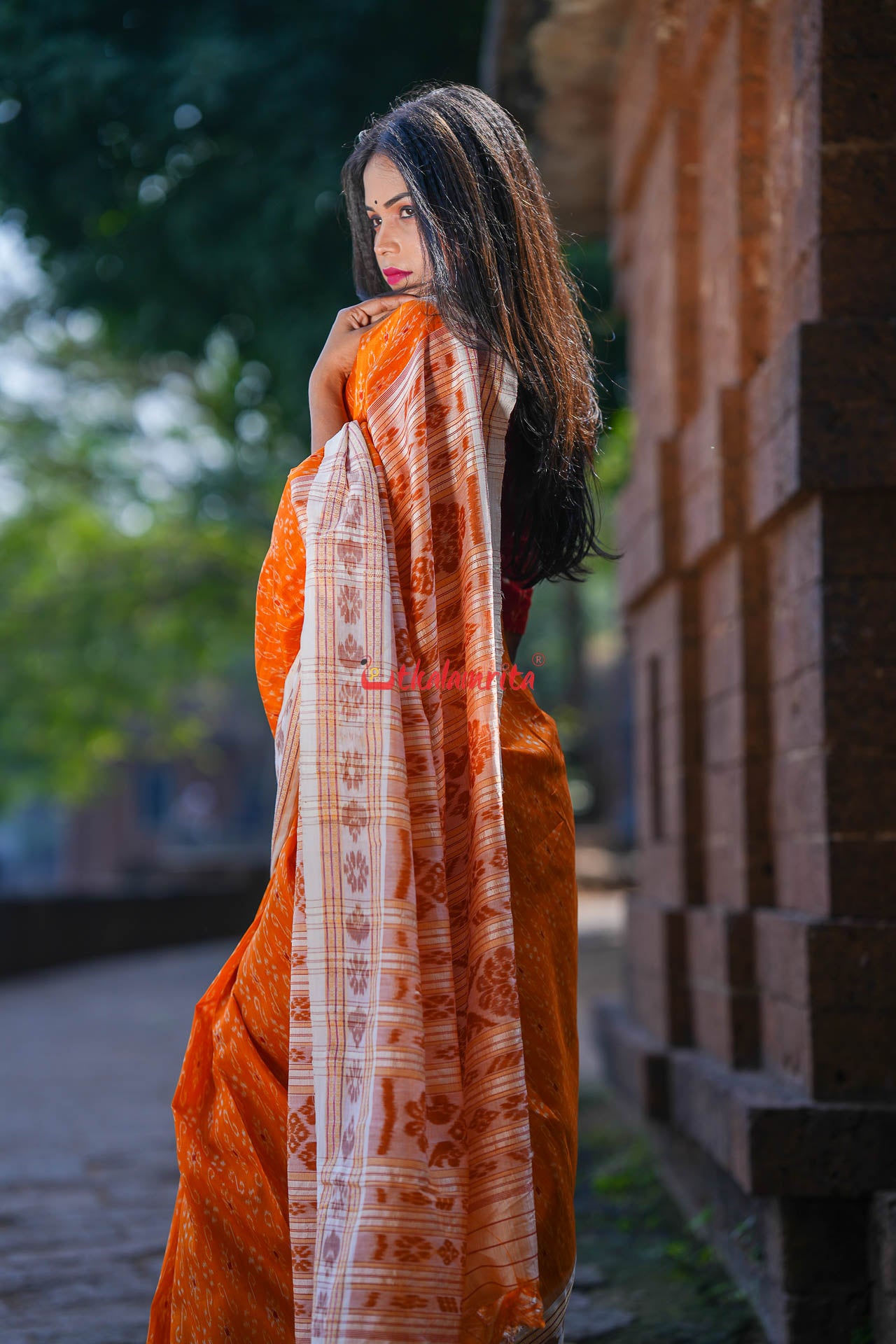 Mustard S White Khandua Silk Saree