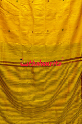 Haldi Pata With Chakra Border Khandua Silk Saree