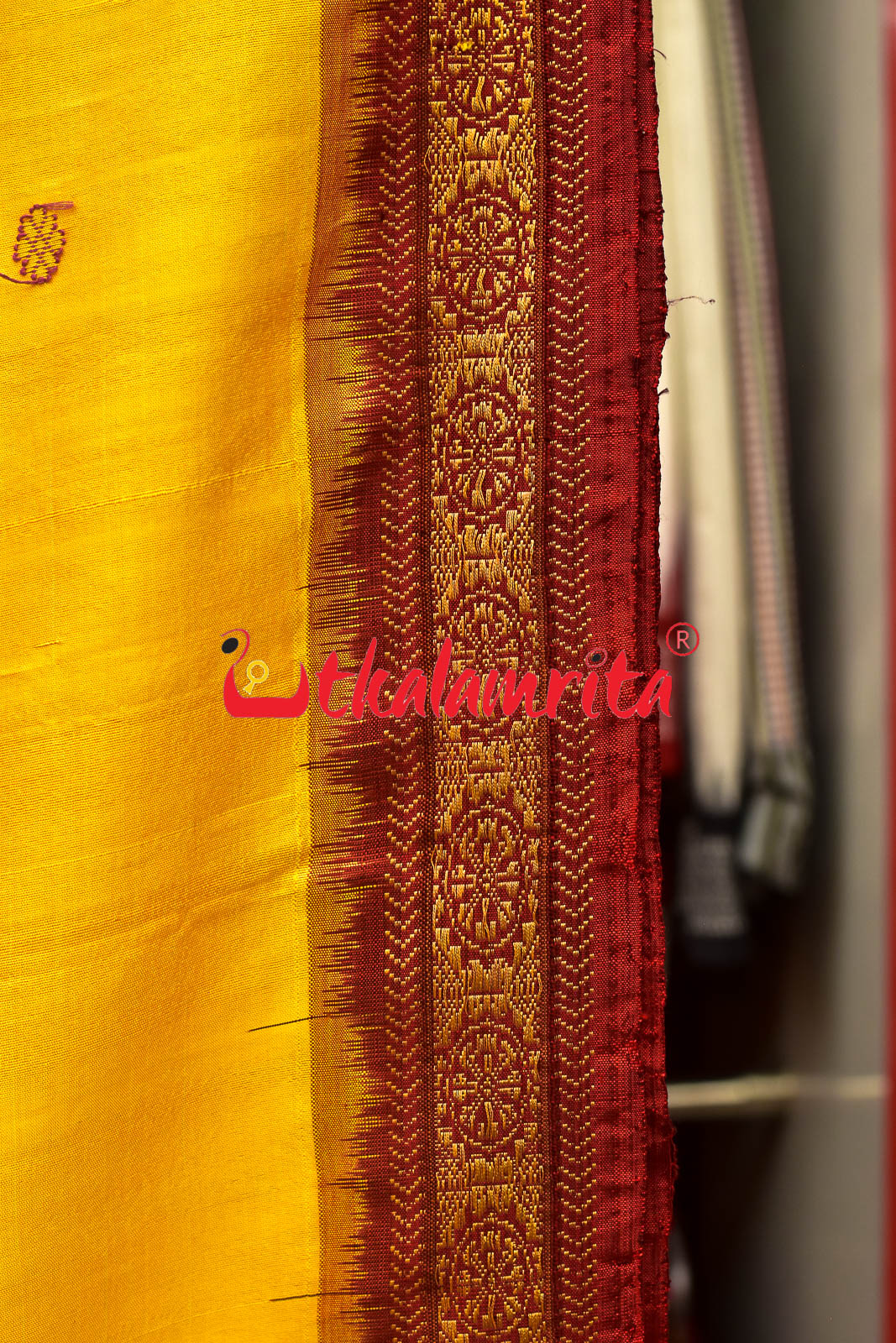 Haldi Pata With Chakra Border Khandua Silk Saree