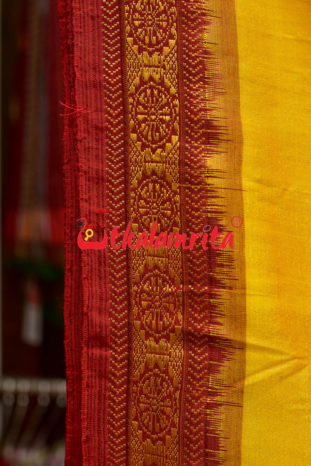 Haldi Pata With Chakra Border Khandua Silk Saree