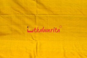 Deepali Khandua Silk Saree