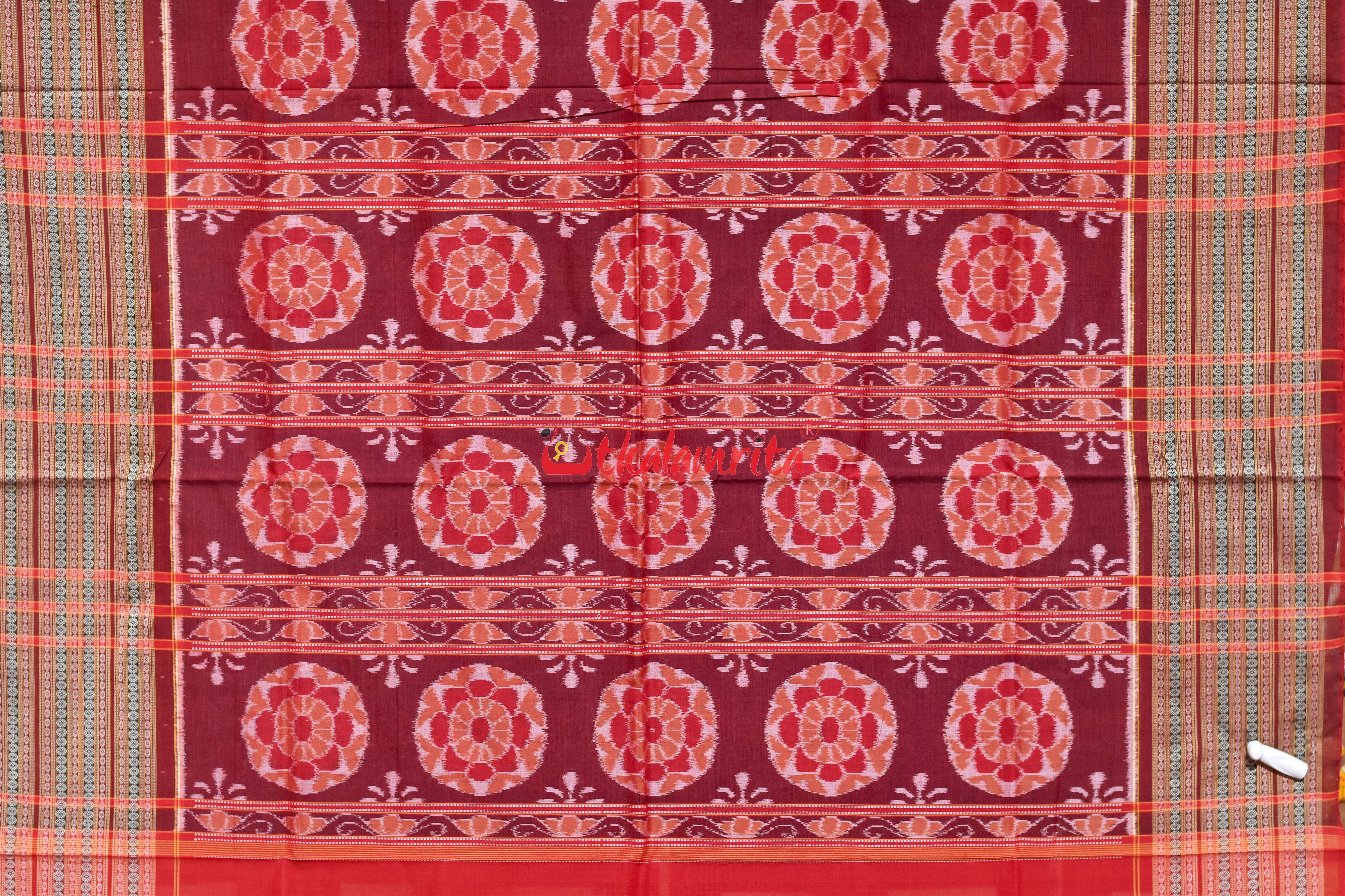 Blue Jungel Wide Border Sambalpuri Cotton Saree