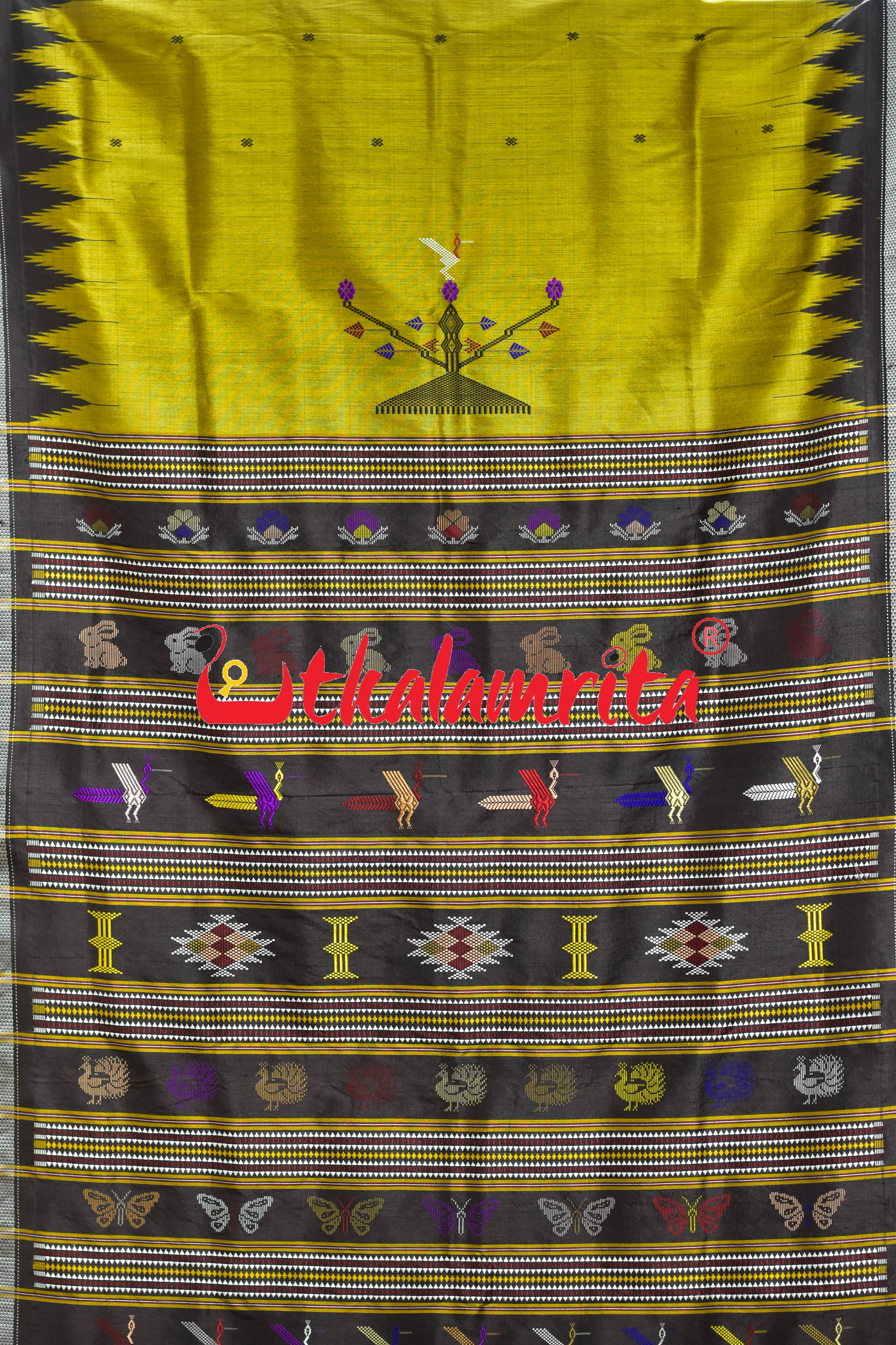 Natural Haladi with Black Border Berhampuri Silk Saree