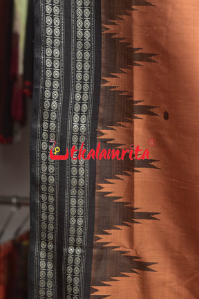 Shiny Brown Double Anchal Berhampuri Silk Saree