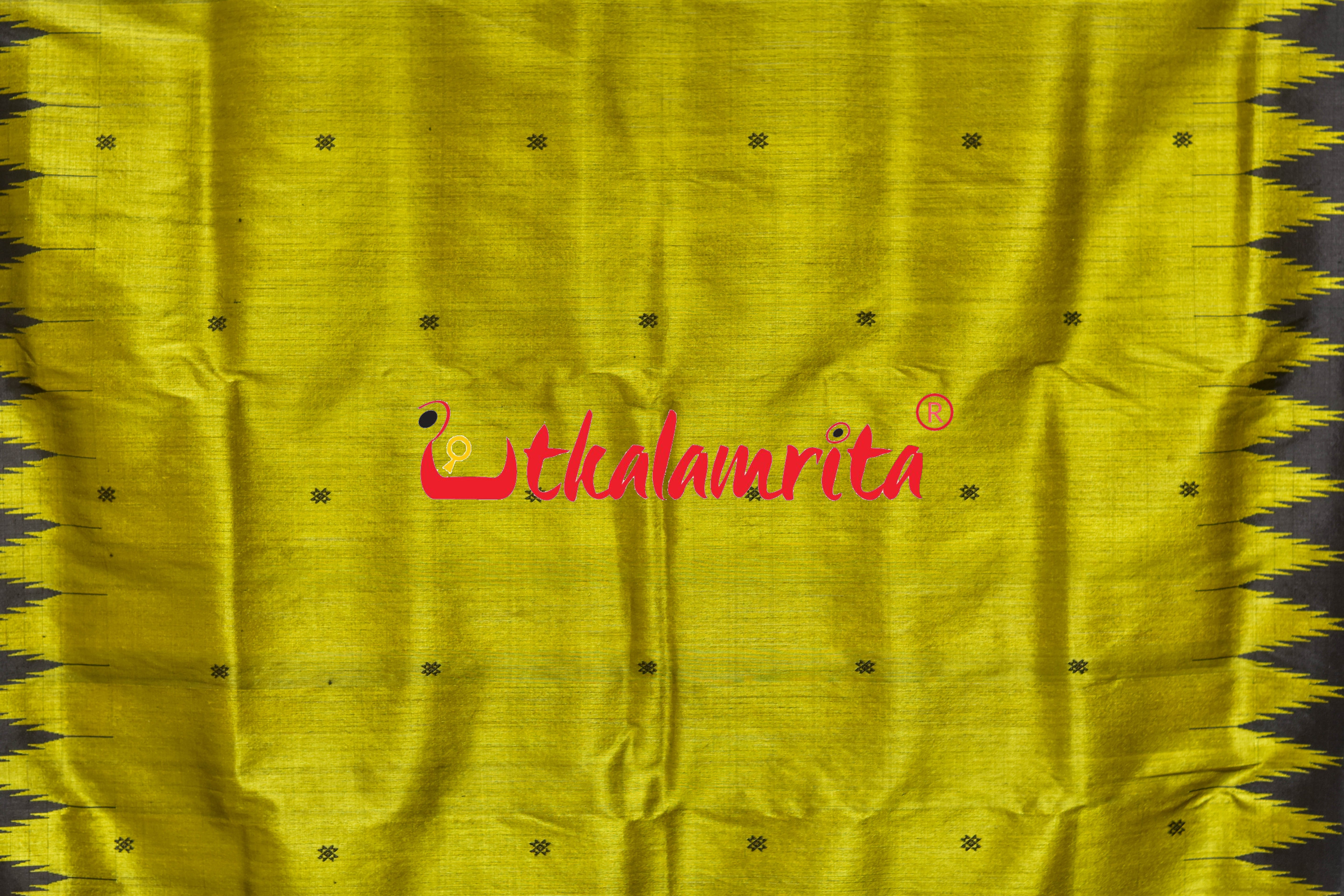 Natural Haladi with Black Border Berhampuri Silk Saree