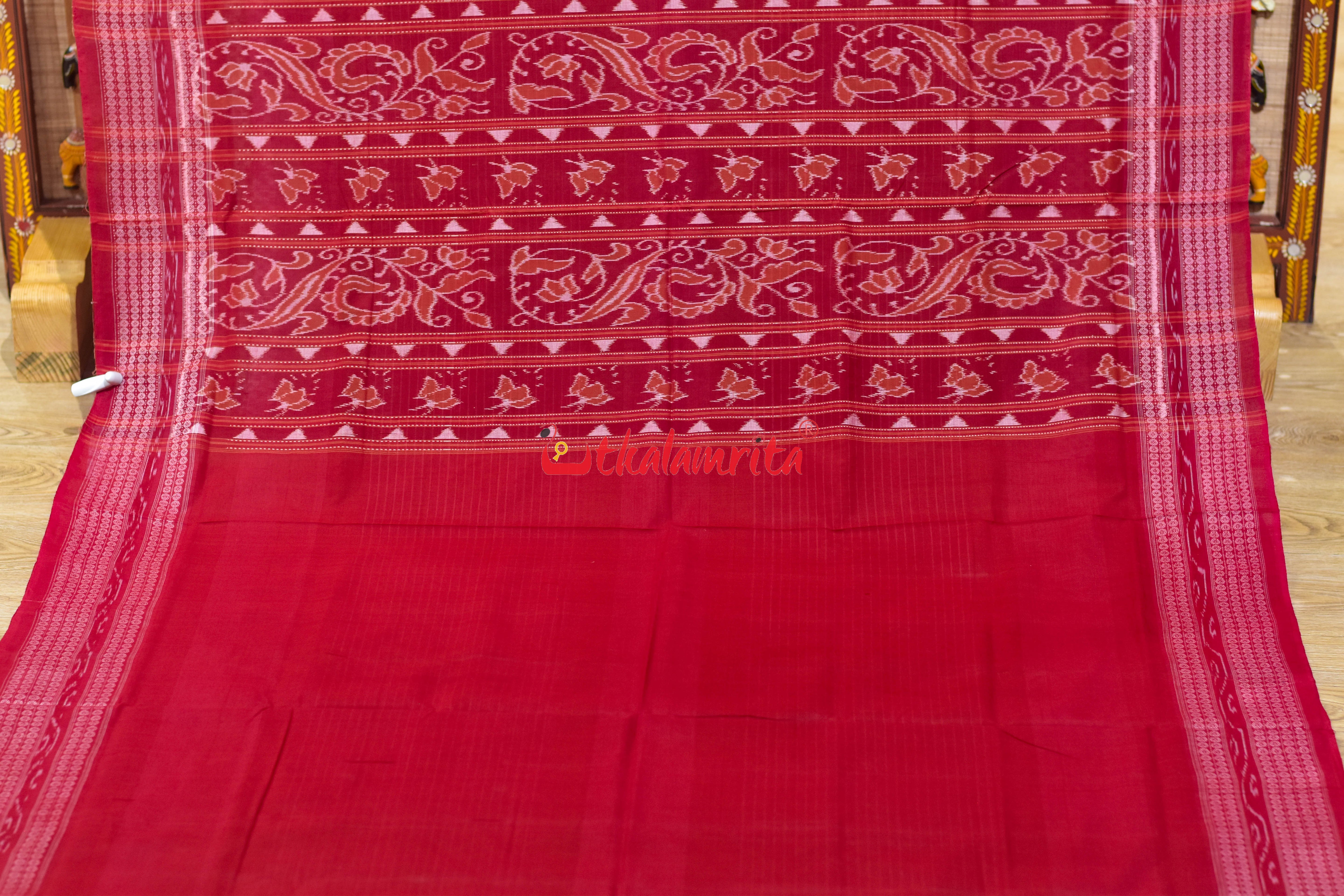 Green White Raasi Phala Sambalpuri Cotton Saree