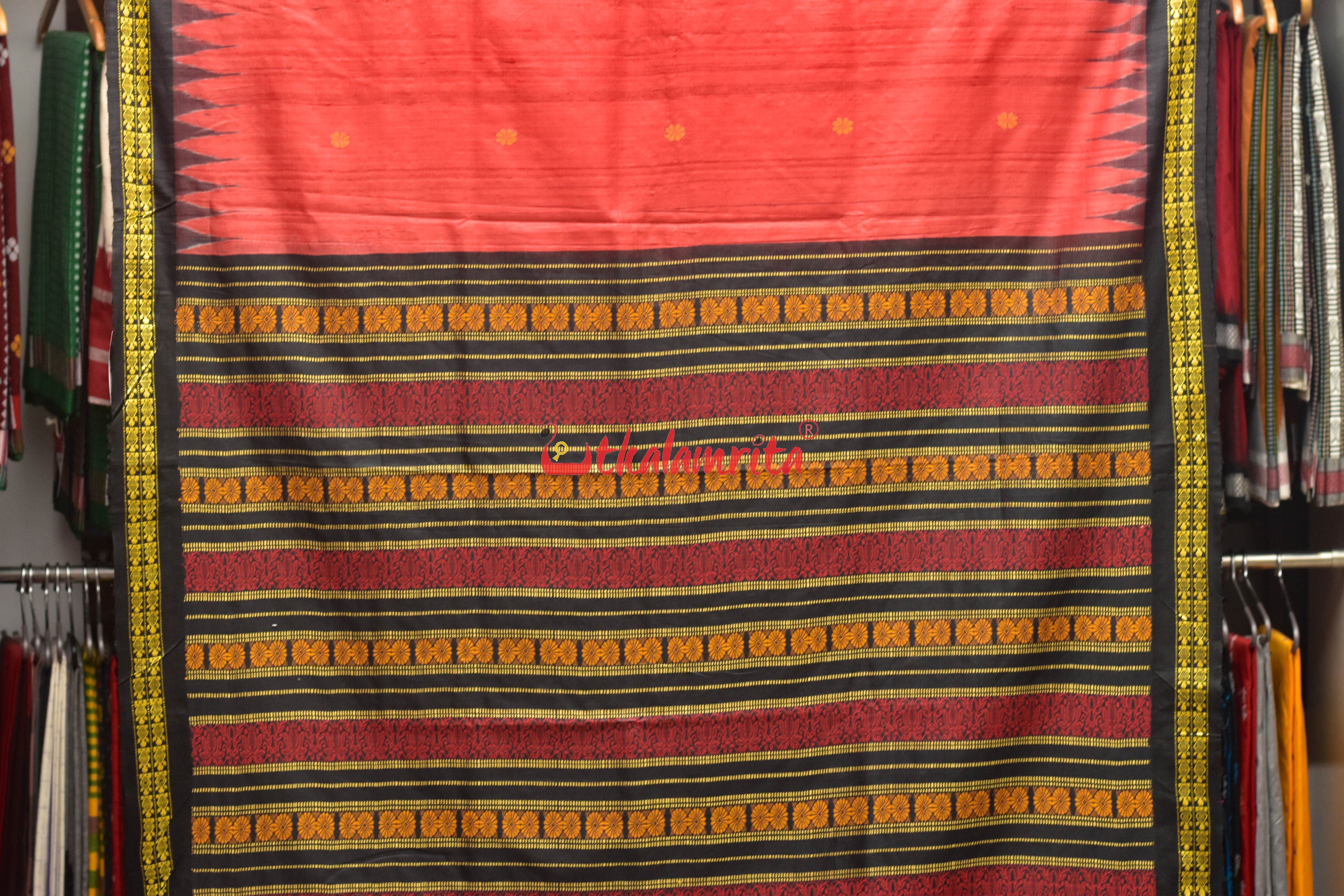 Red Black Tortoise Border Jaala Anchal Tussar Saree
