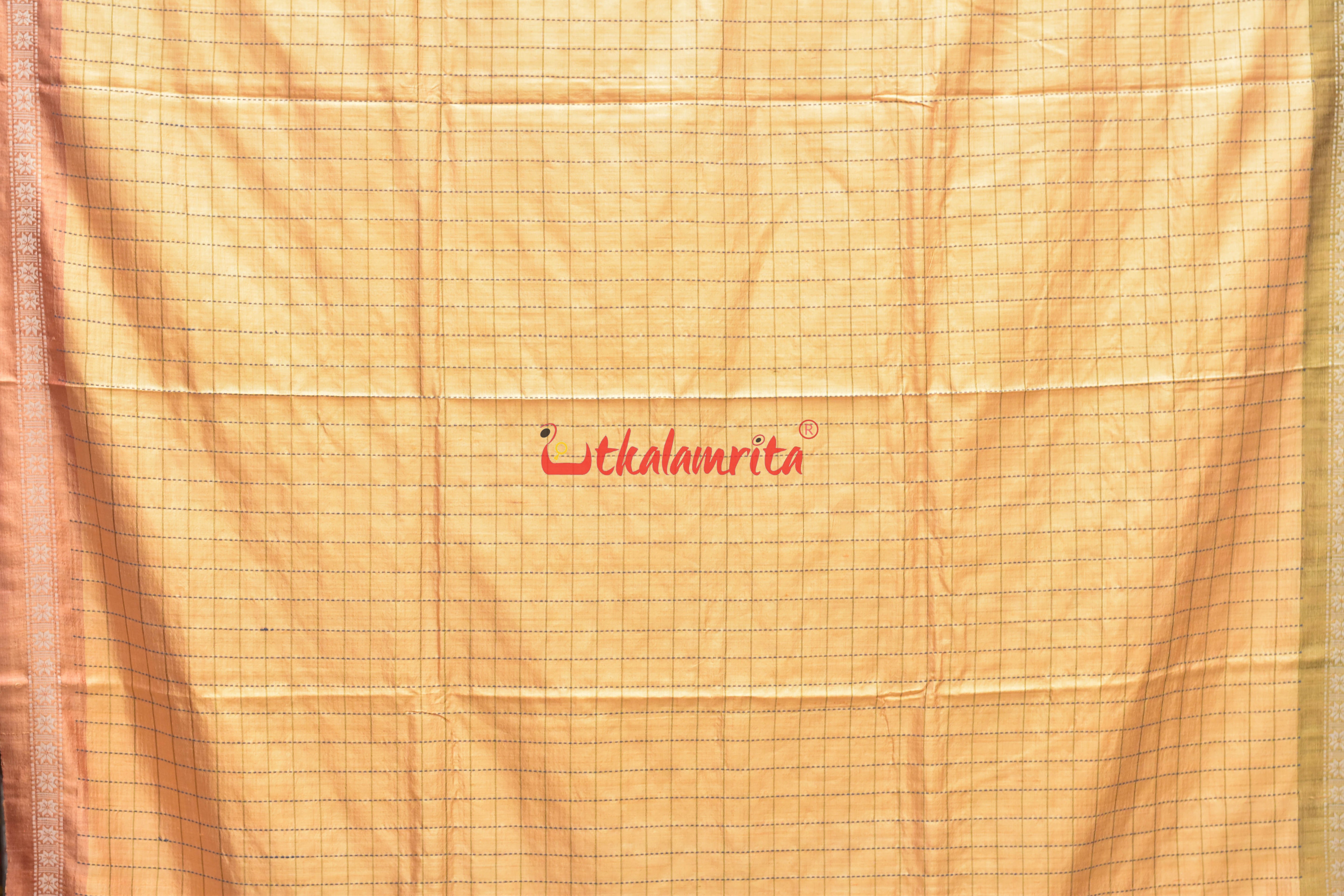 Orange Body Check And Anchal Stripes Tussar Saree