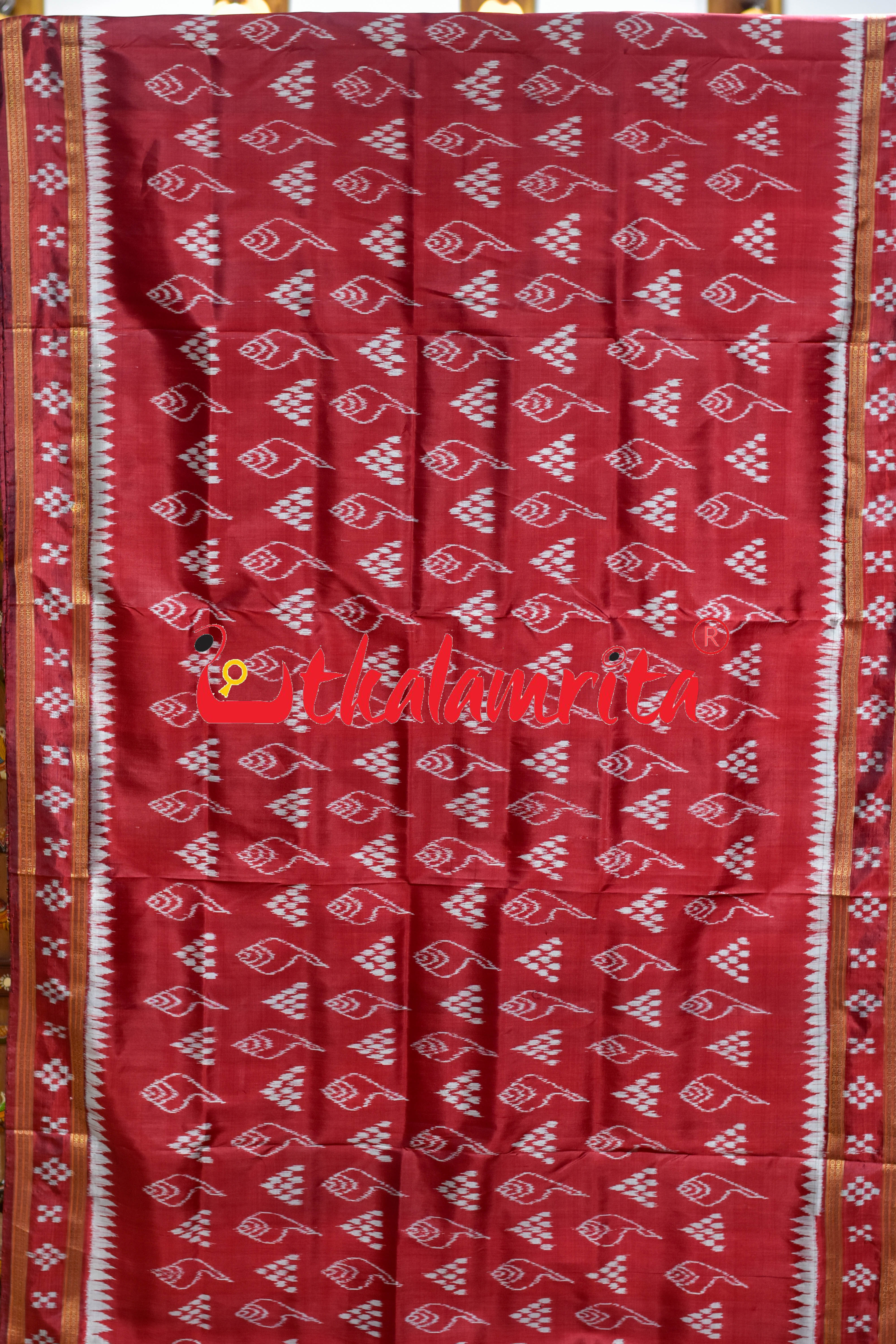 Maroon Chitta Sankha Khandua Silk Saree