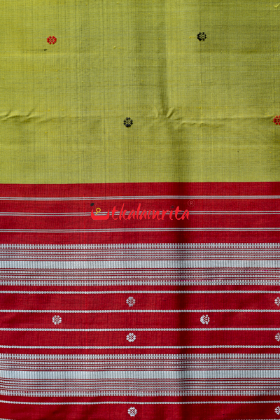 Buy PRO PICK Printed Berhampuri Cotton Silk Cream Sarees Online @ Best  Price In India | Flipkart.com