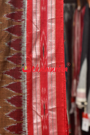 Brown Maroon Kumbha Khandua Cotton Saree