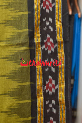 Light Olive Pasapali Border Khandua Cotton Saree