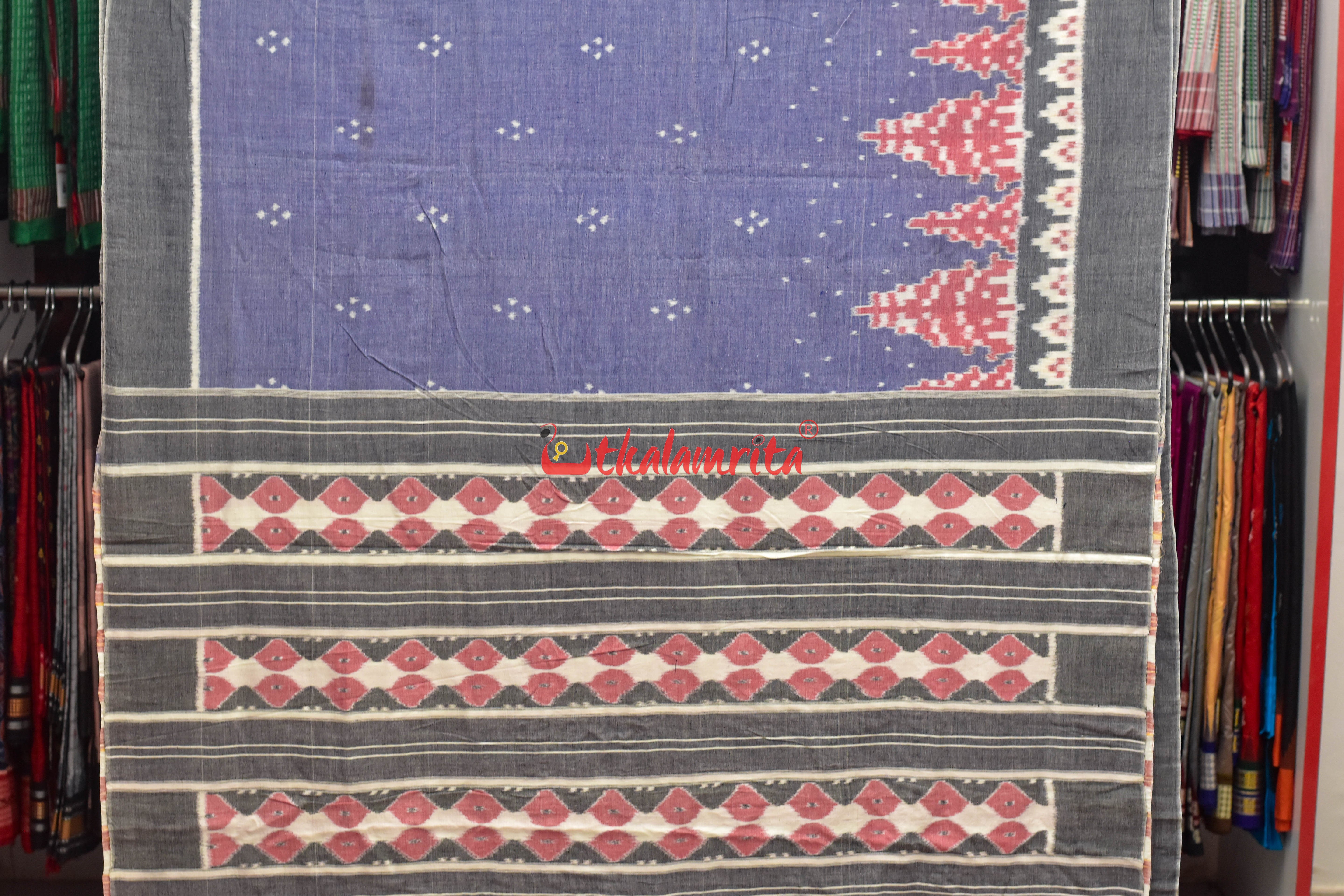 Light Blue Grey Border Ikat Cotton Saree
