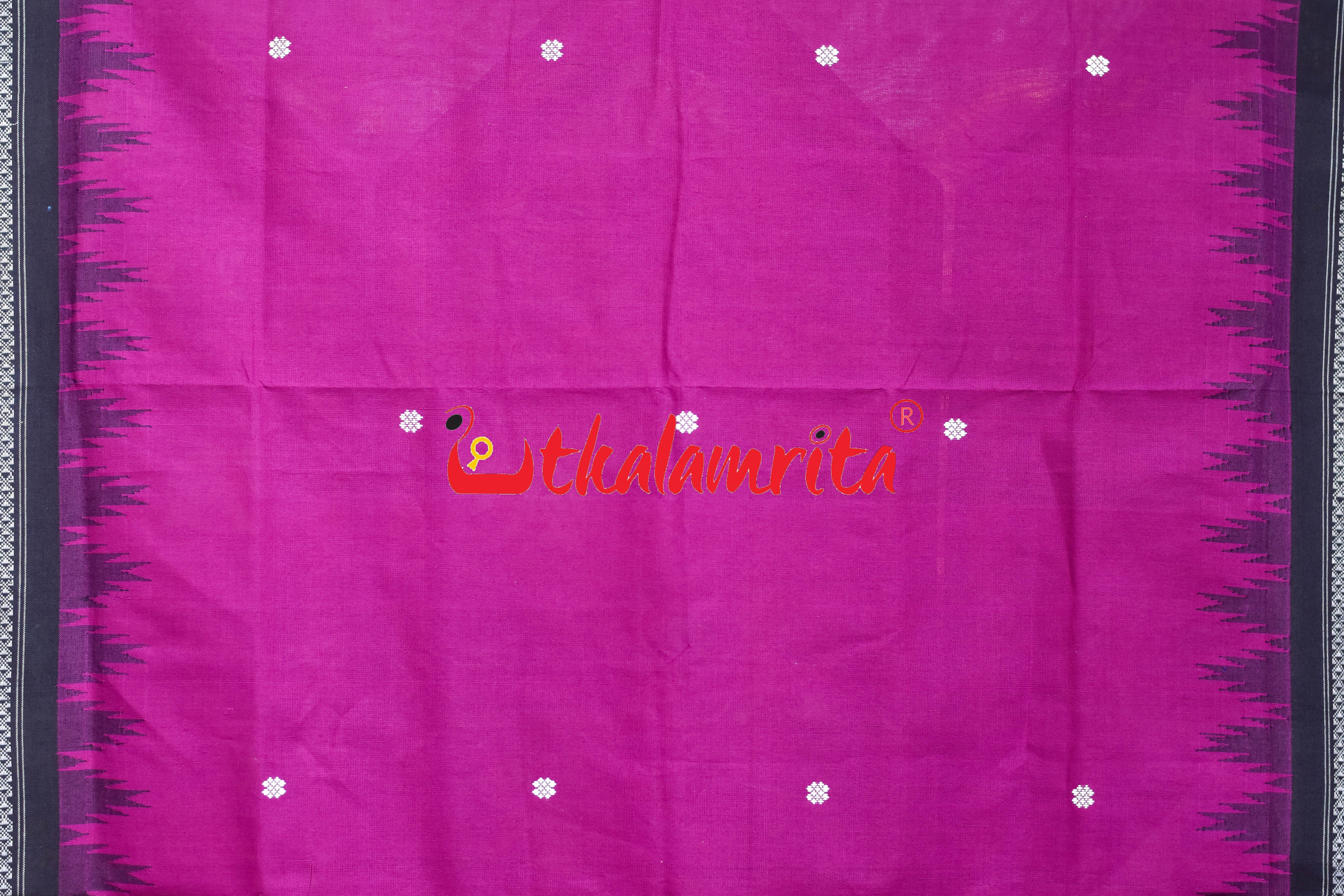 Magenta Black Border Phoda Kumbha (Dupatta)