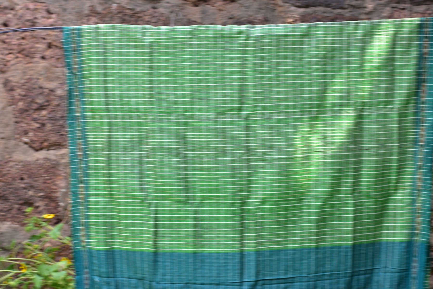 Green Eri Mulberry Tussar Khandua Silk Saree