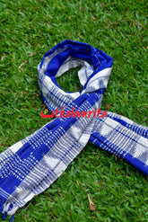 Blue White Checks (Kotpad Dupatta)