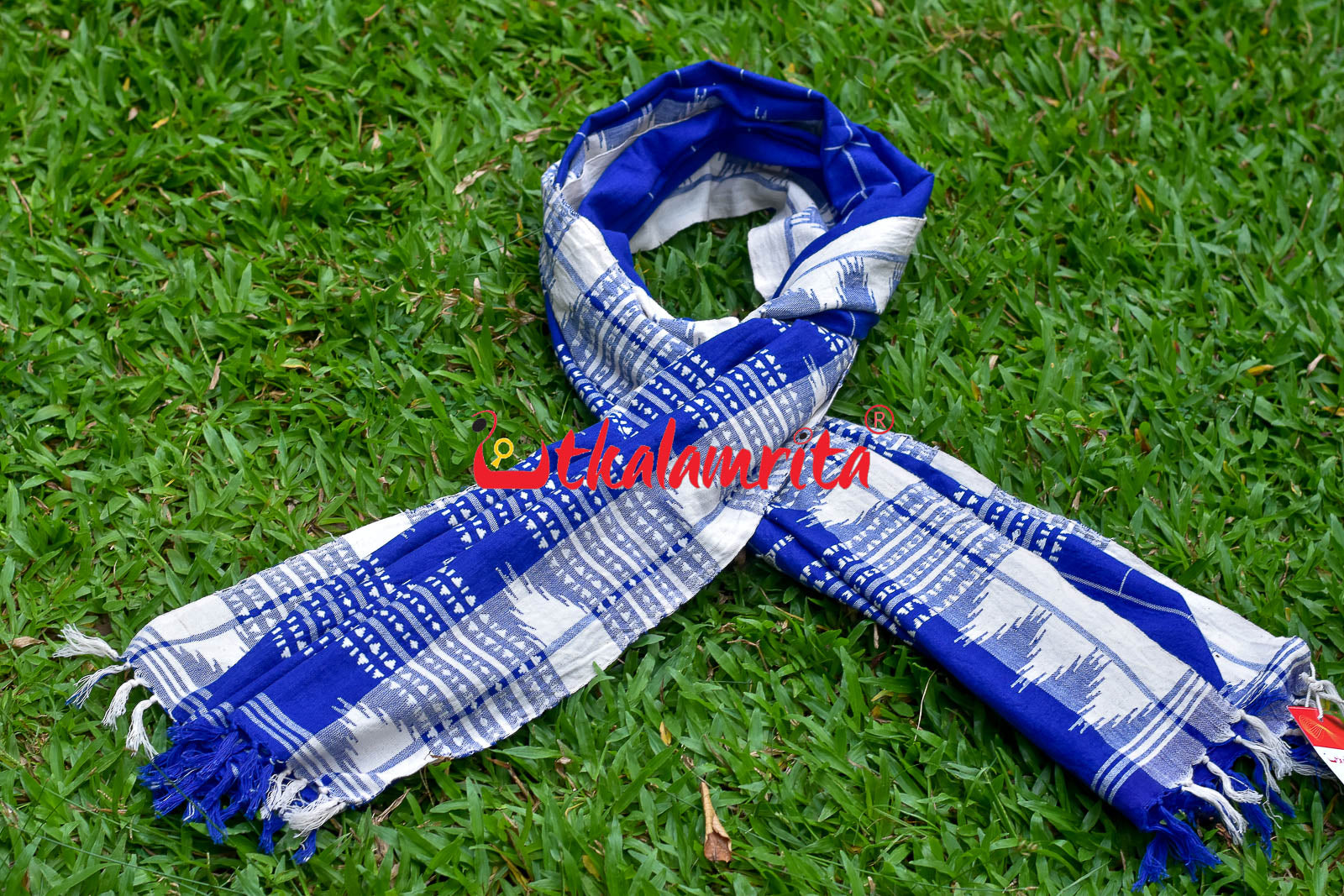 Blue White Checks (Kotpad Dupatta)