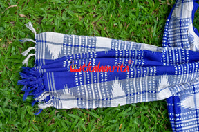 Blue White Checks (Kotpad Dupatta)